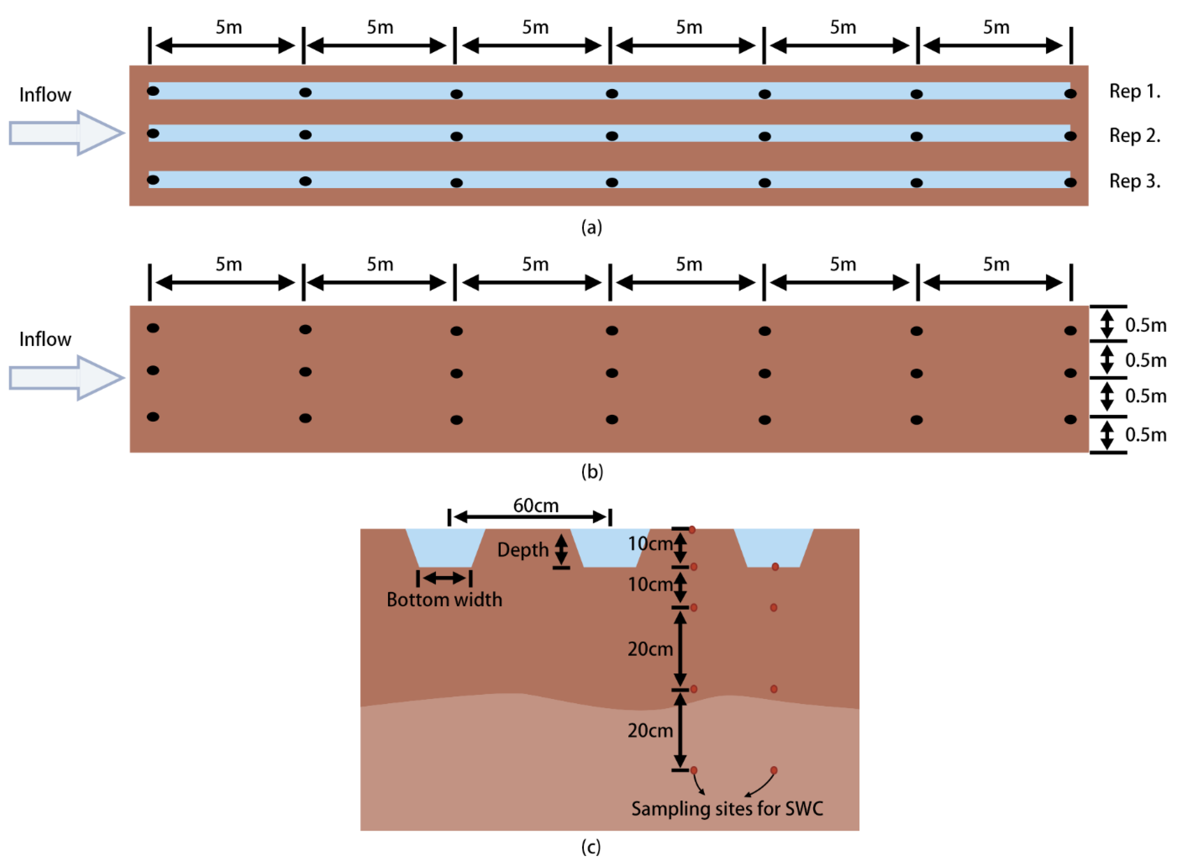 Agronomy 12 02156 g002
