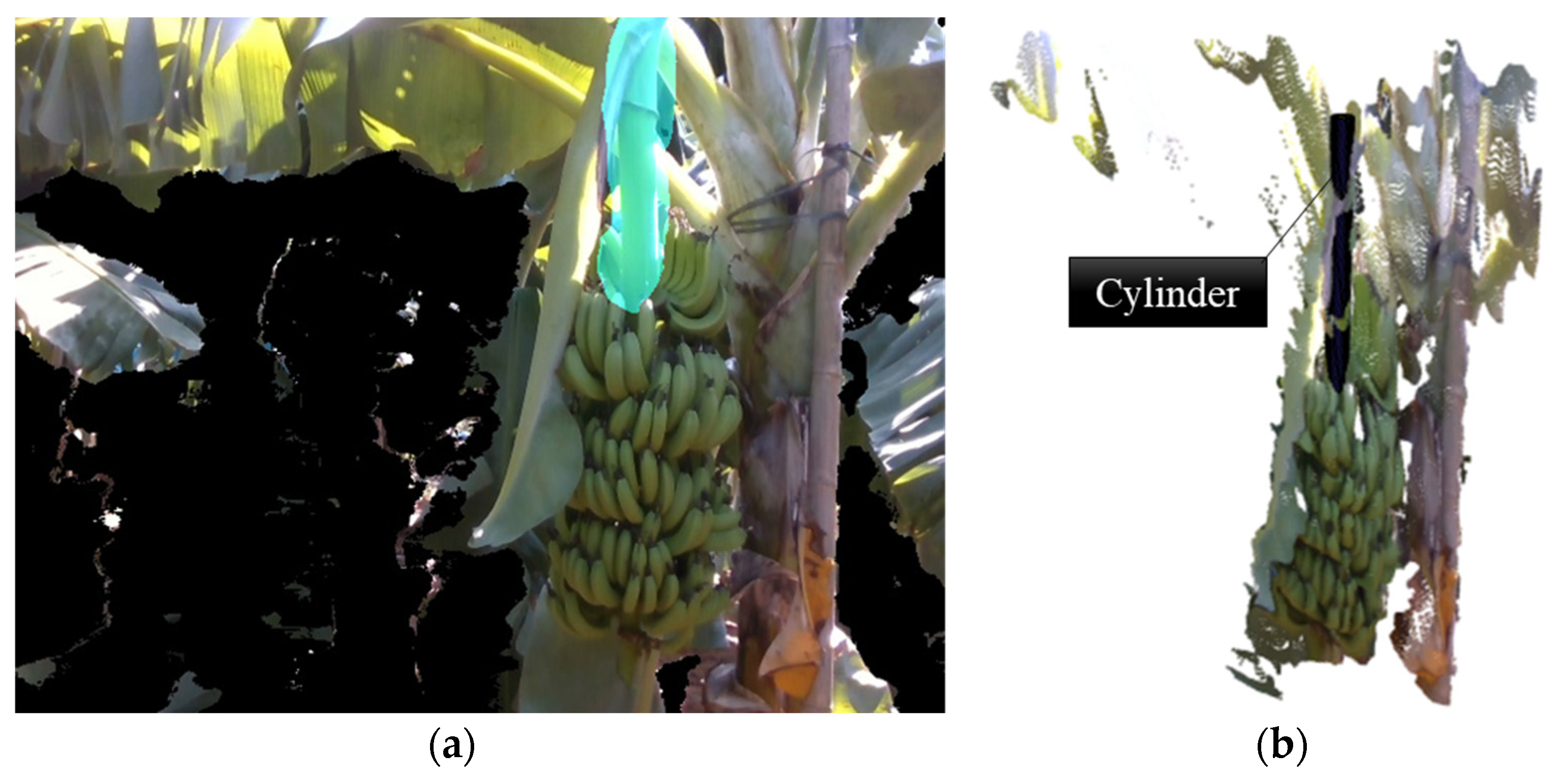 Agronomy 12 02157 g008 550