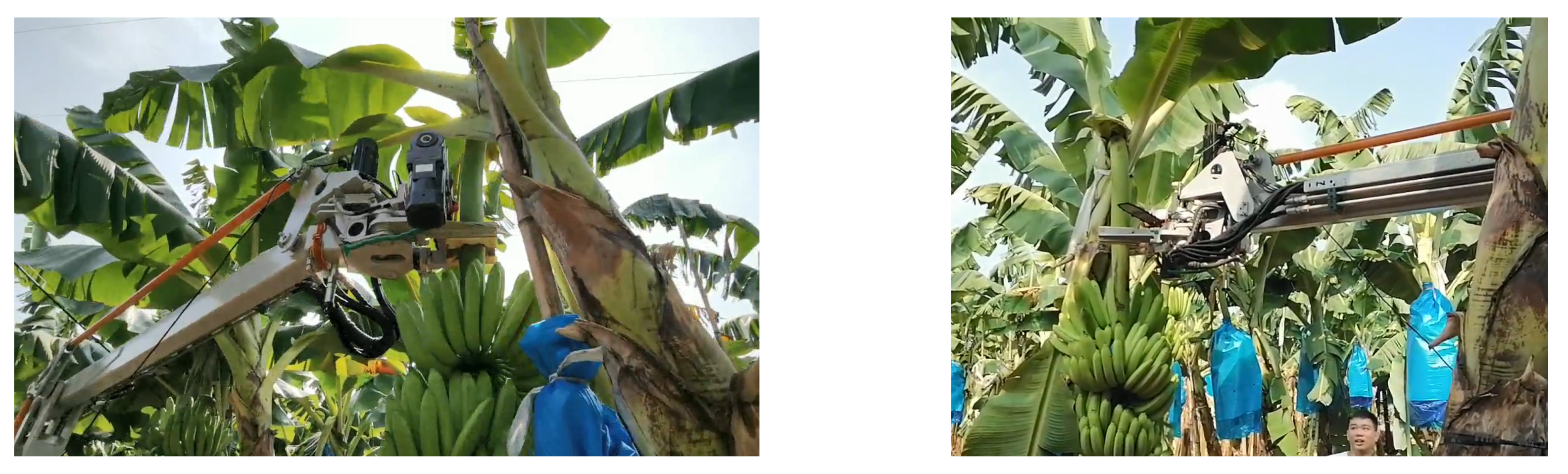 Agronomy 12 02157 g010 550