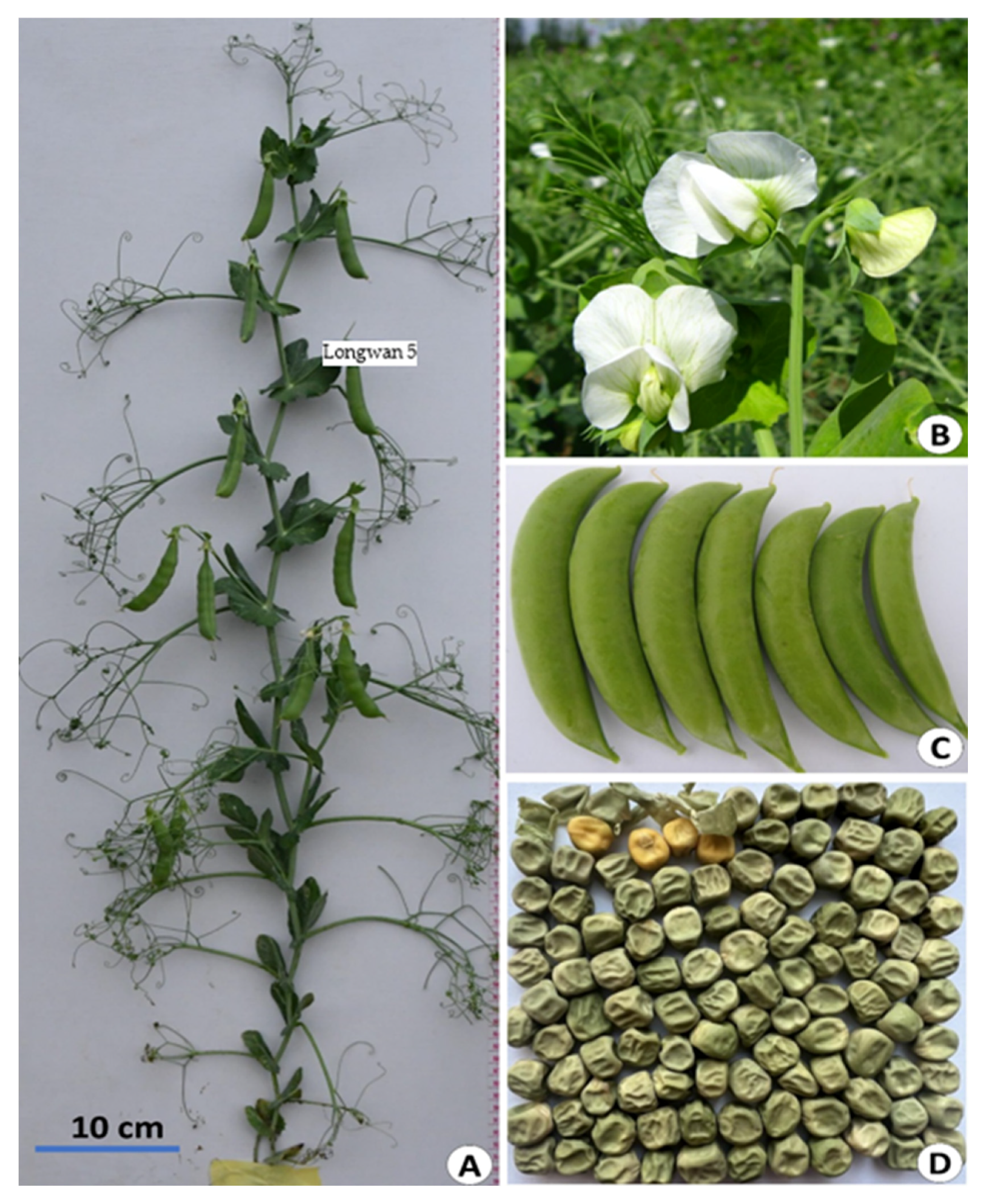 Agronomy 12 02160 g001