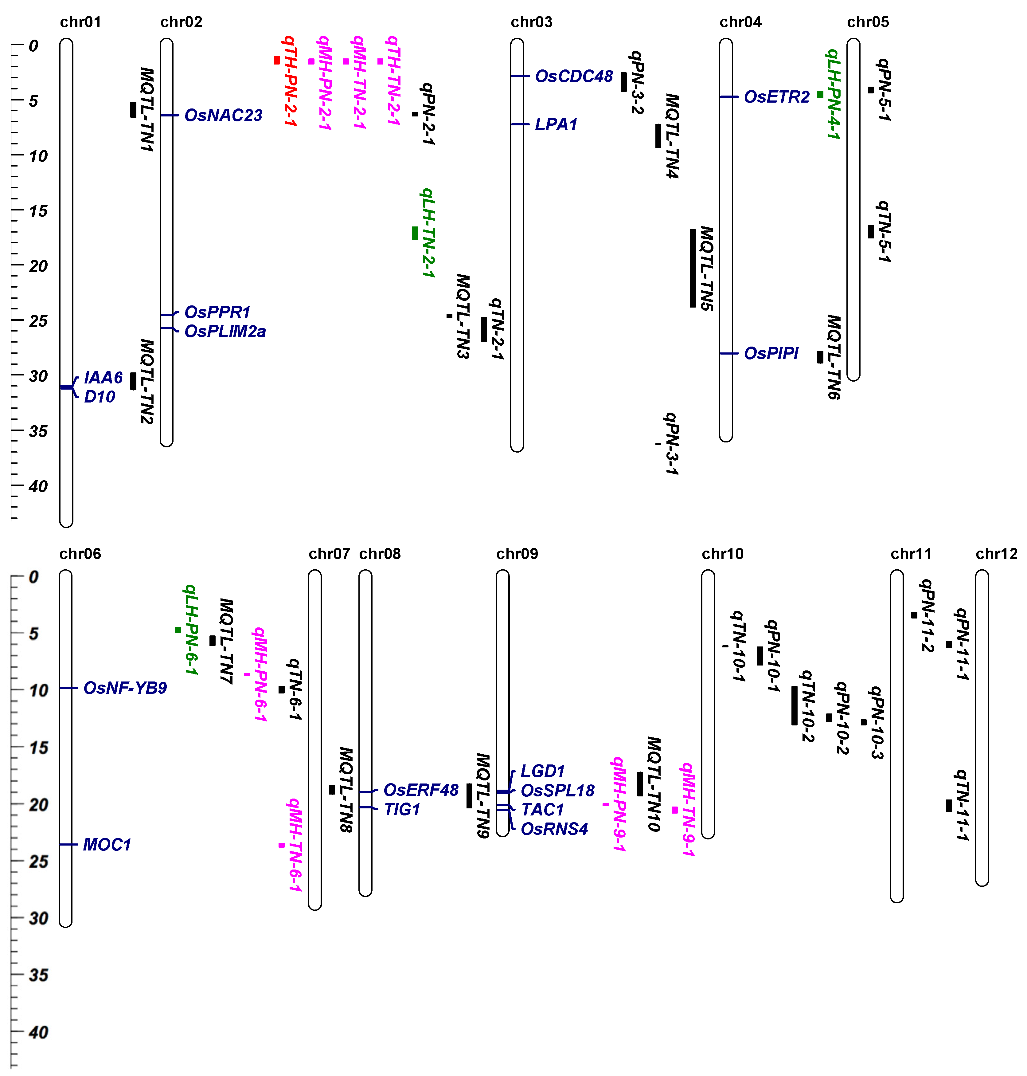 Agronomy 12 02171 g005