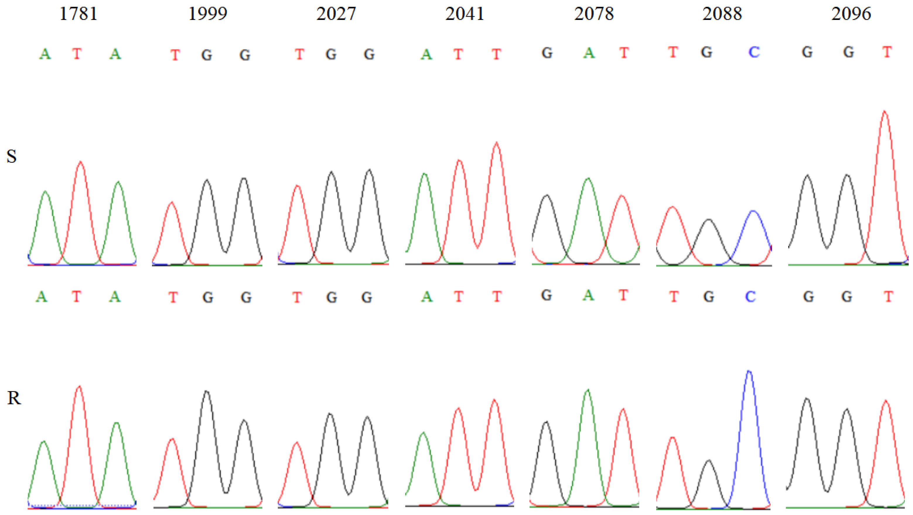 Agronomy 12 02172 g003 550