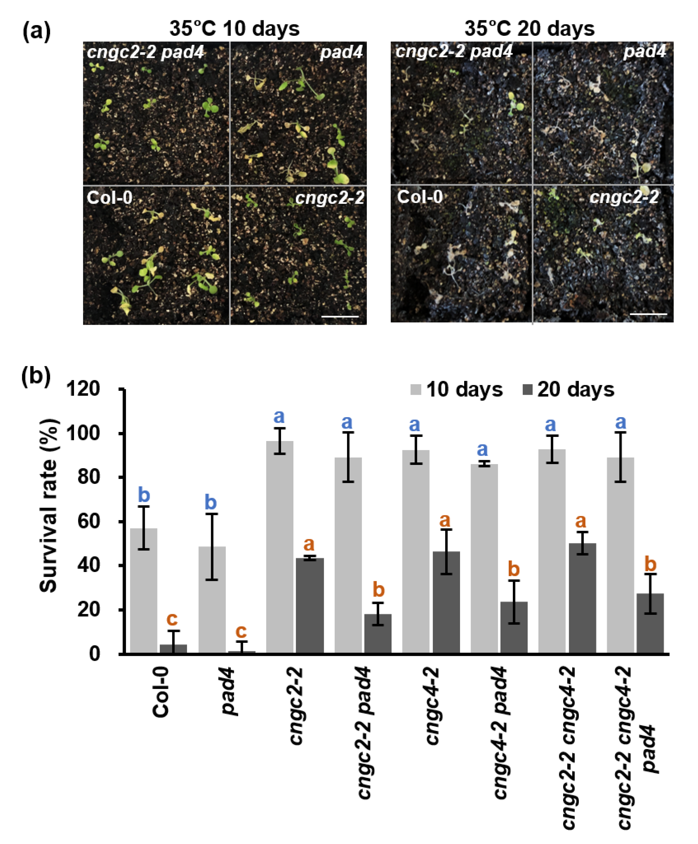 Agronomy 12 02176 g006
