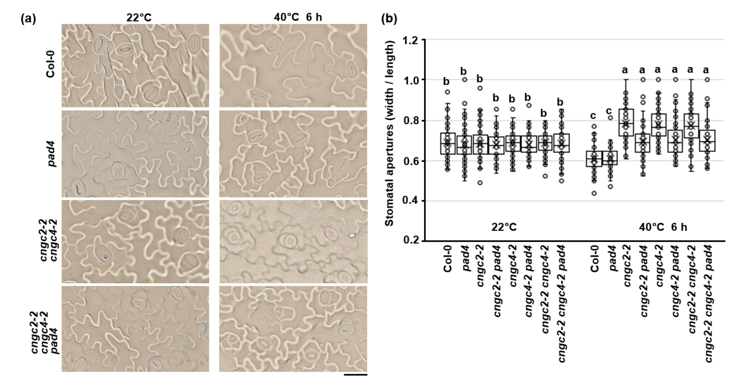 Agronomy 12 02176 g007