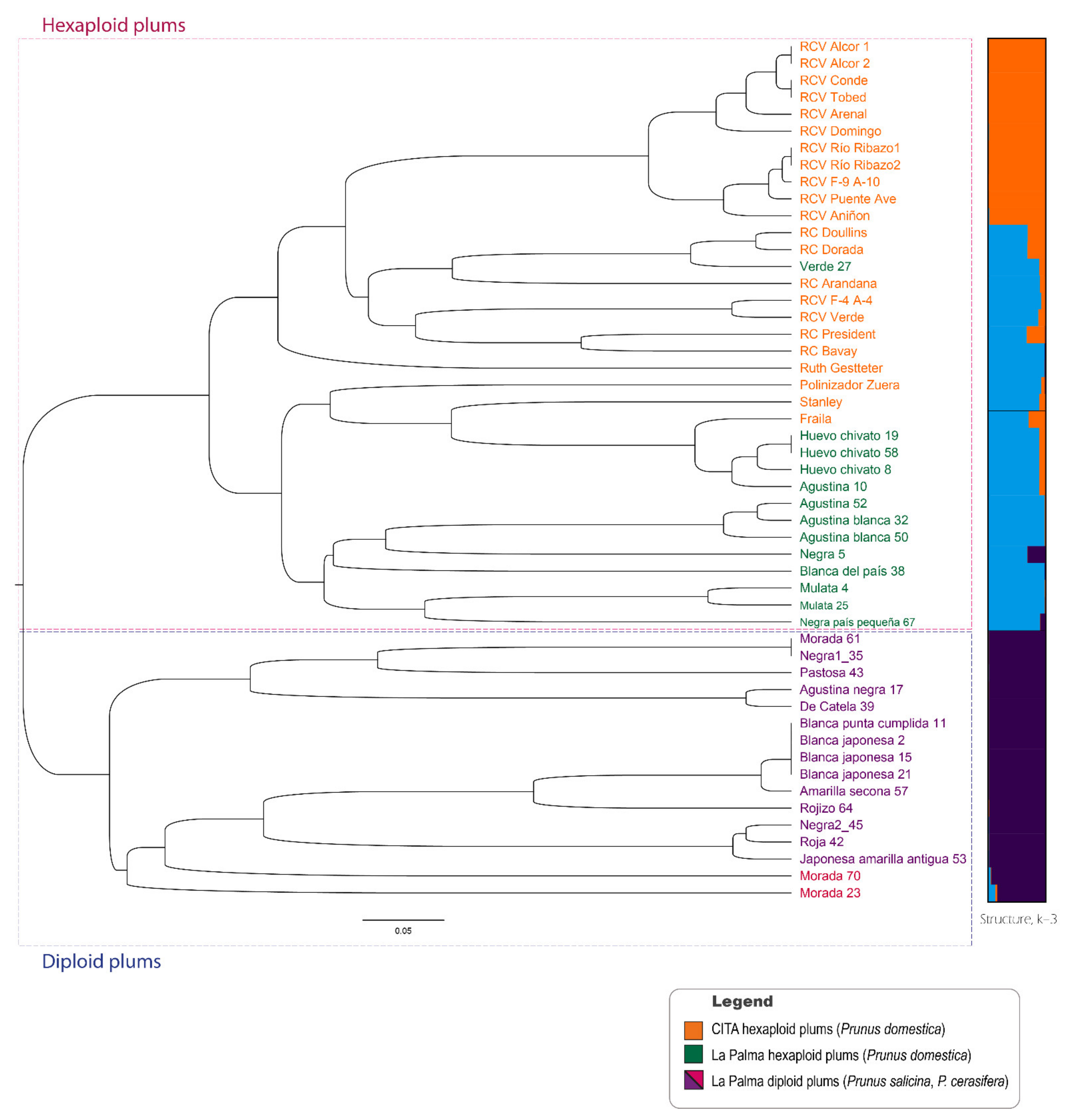Agronomy 12 02179 g003