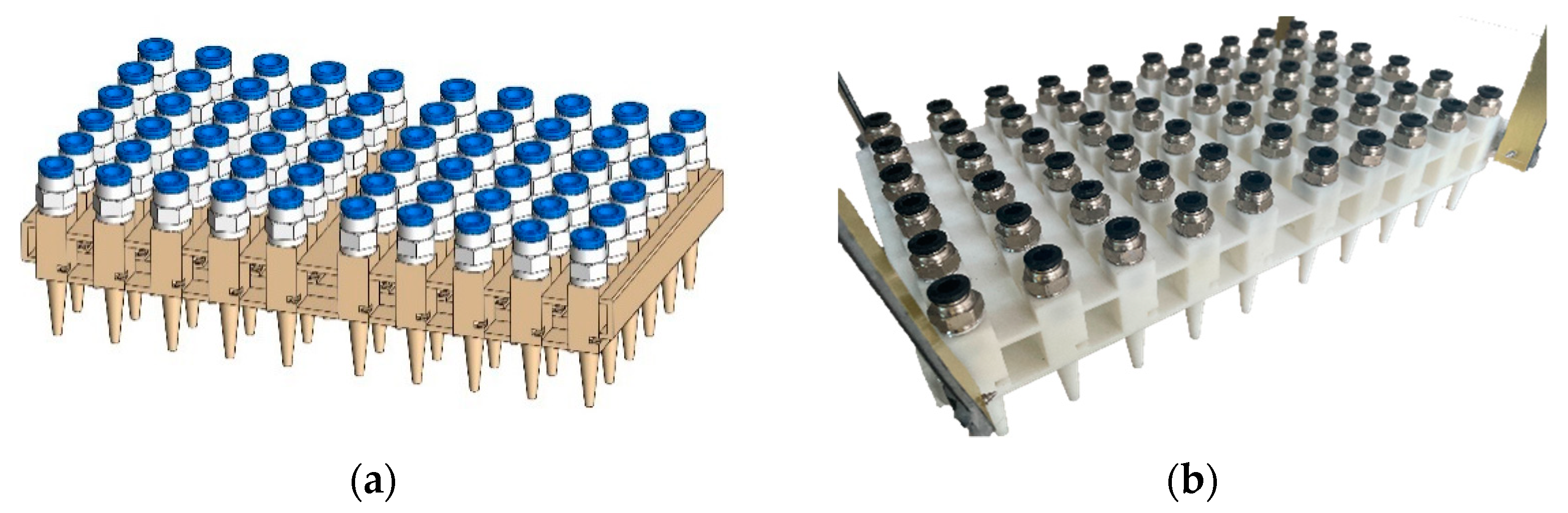 Agronomy 12 02180 g005