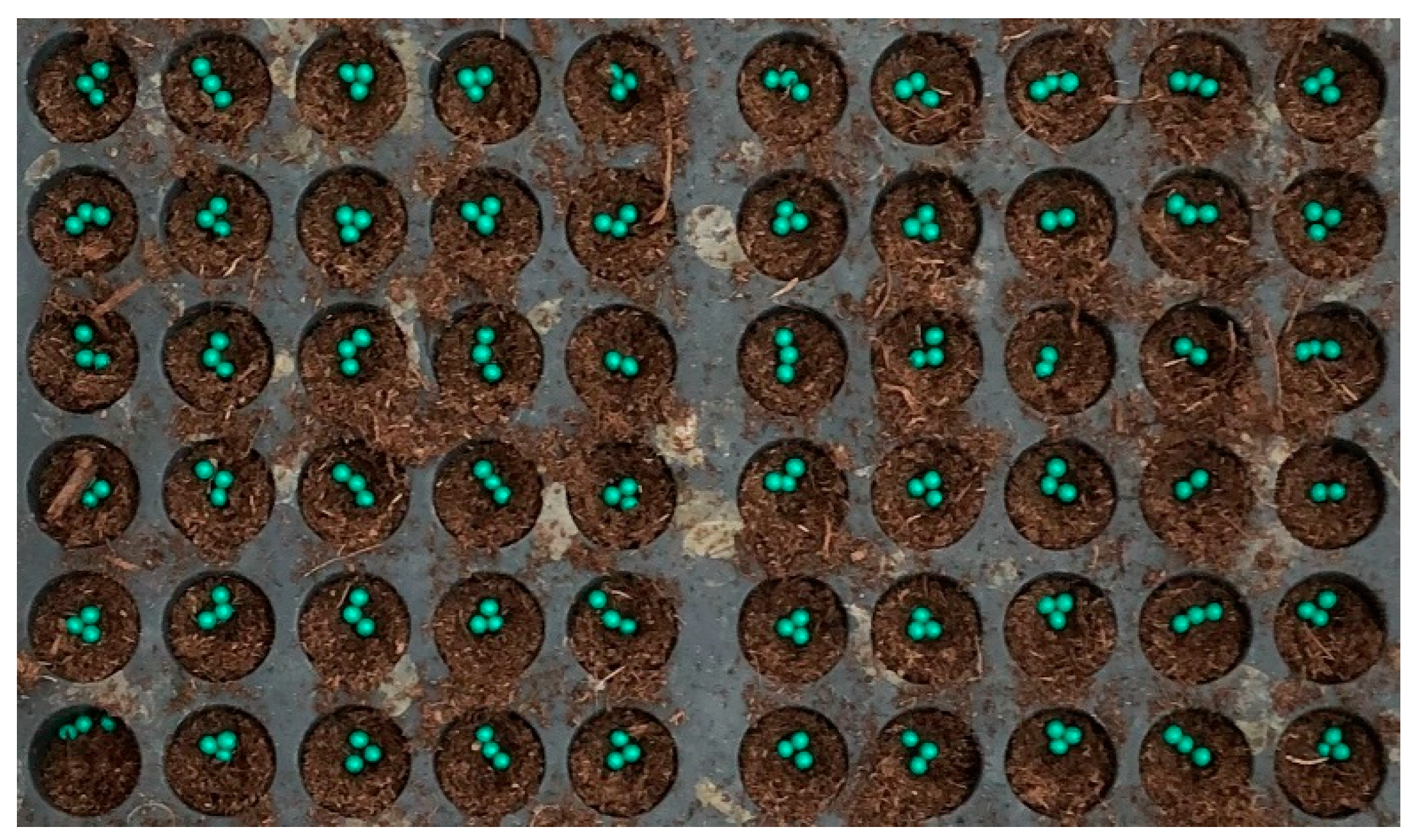 Agronomy 12 02180 g009