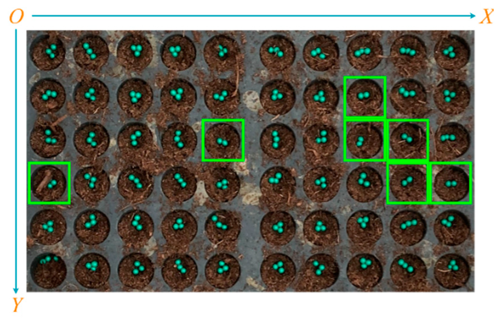 Agronomy 12 02180 g014