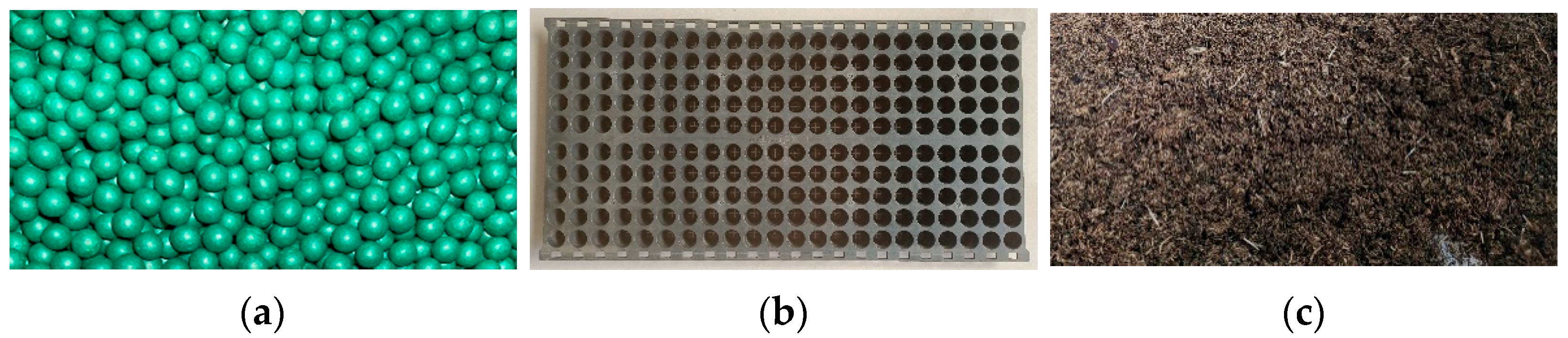 Agronomy 12 02180 g024