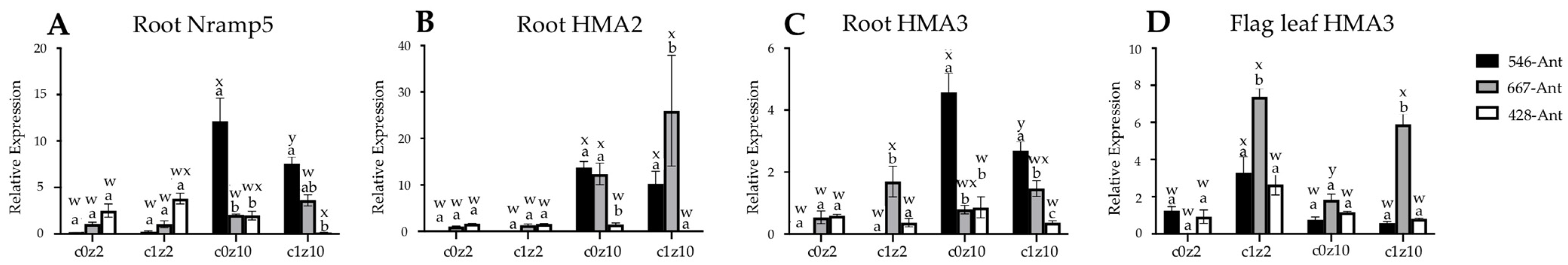Agronomy 12 02182 g006