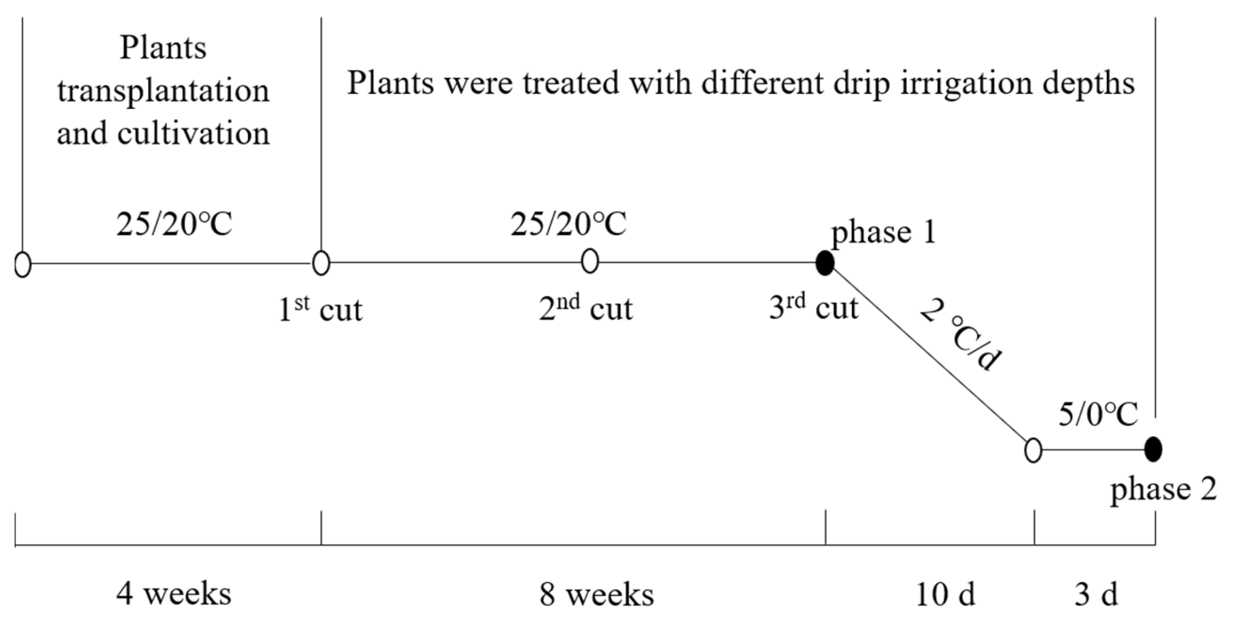 Estimating 24-Hour Sodium Excretion from Spot Urine Samples