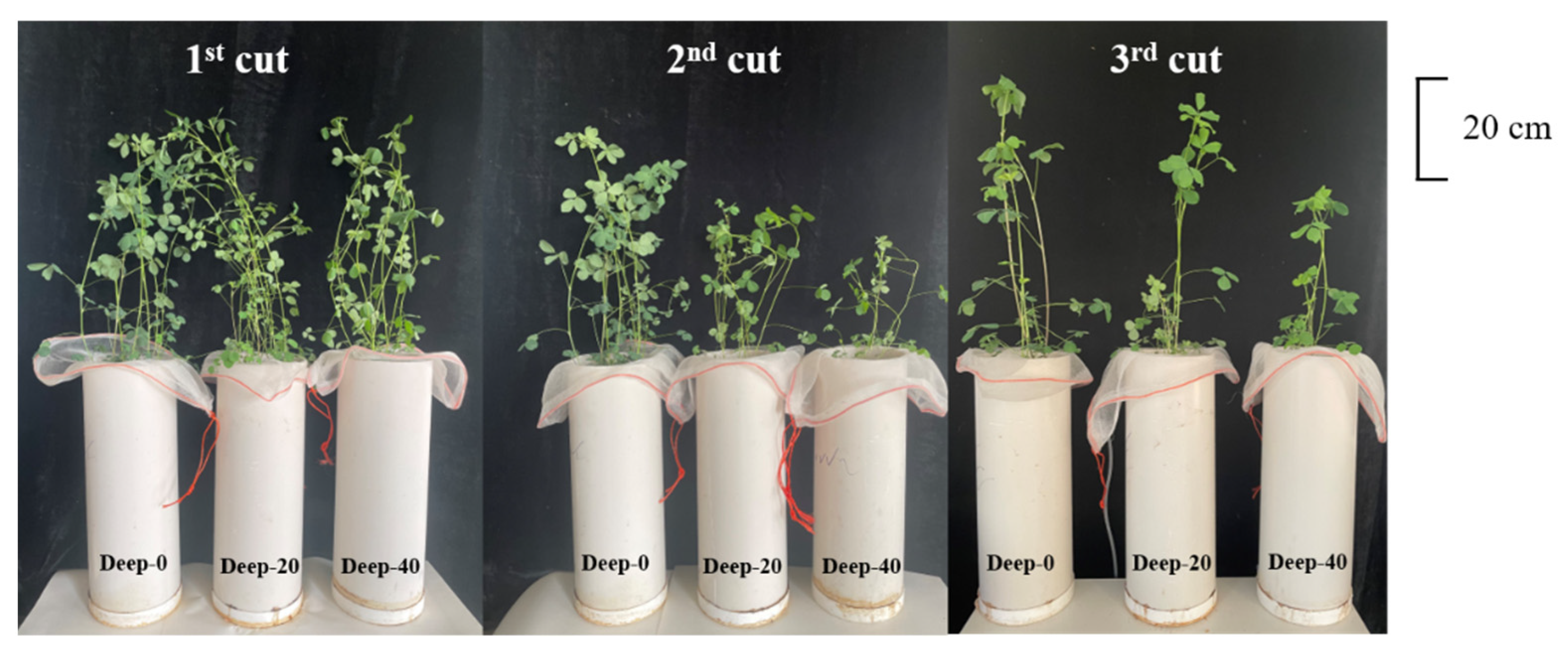 Agronomy 12 02192 g003