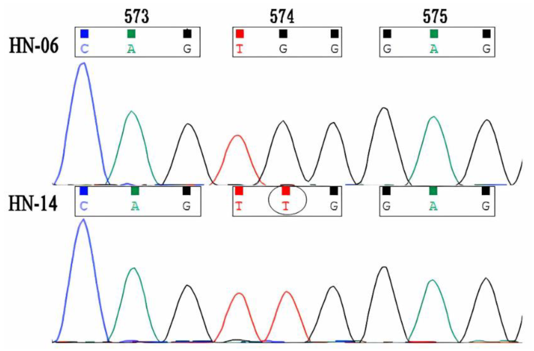 Agronomy 12 02203 g002