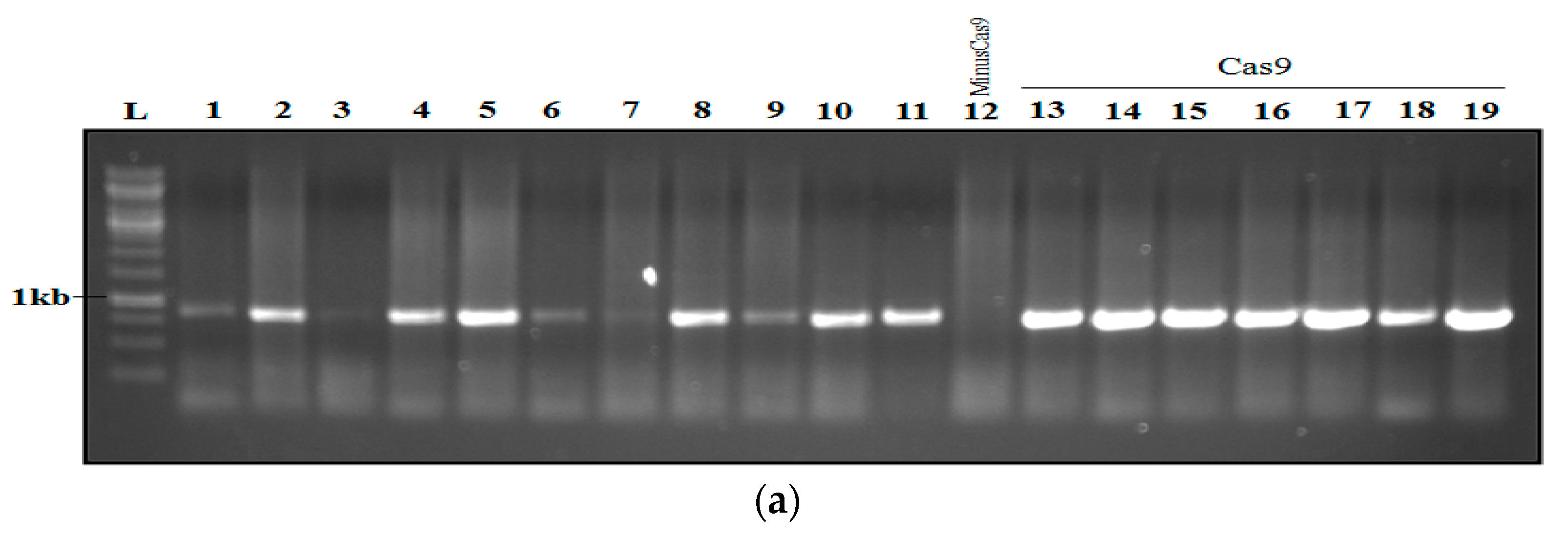 Agronomy 12 02206 g008a 550