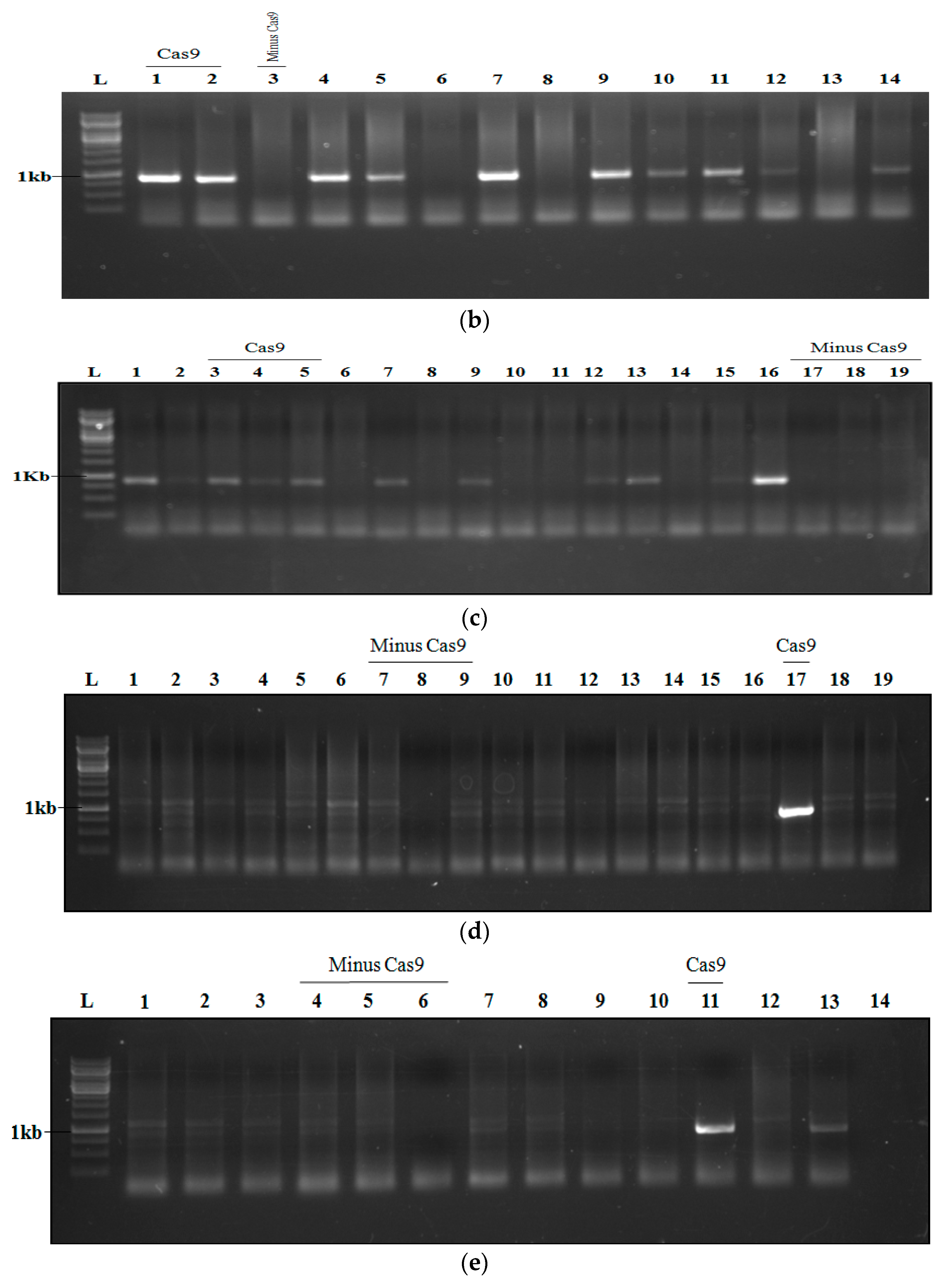 Agronomy 12 02206 g008b 550