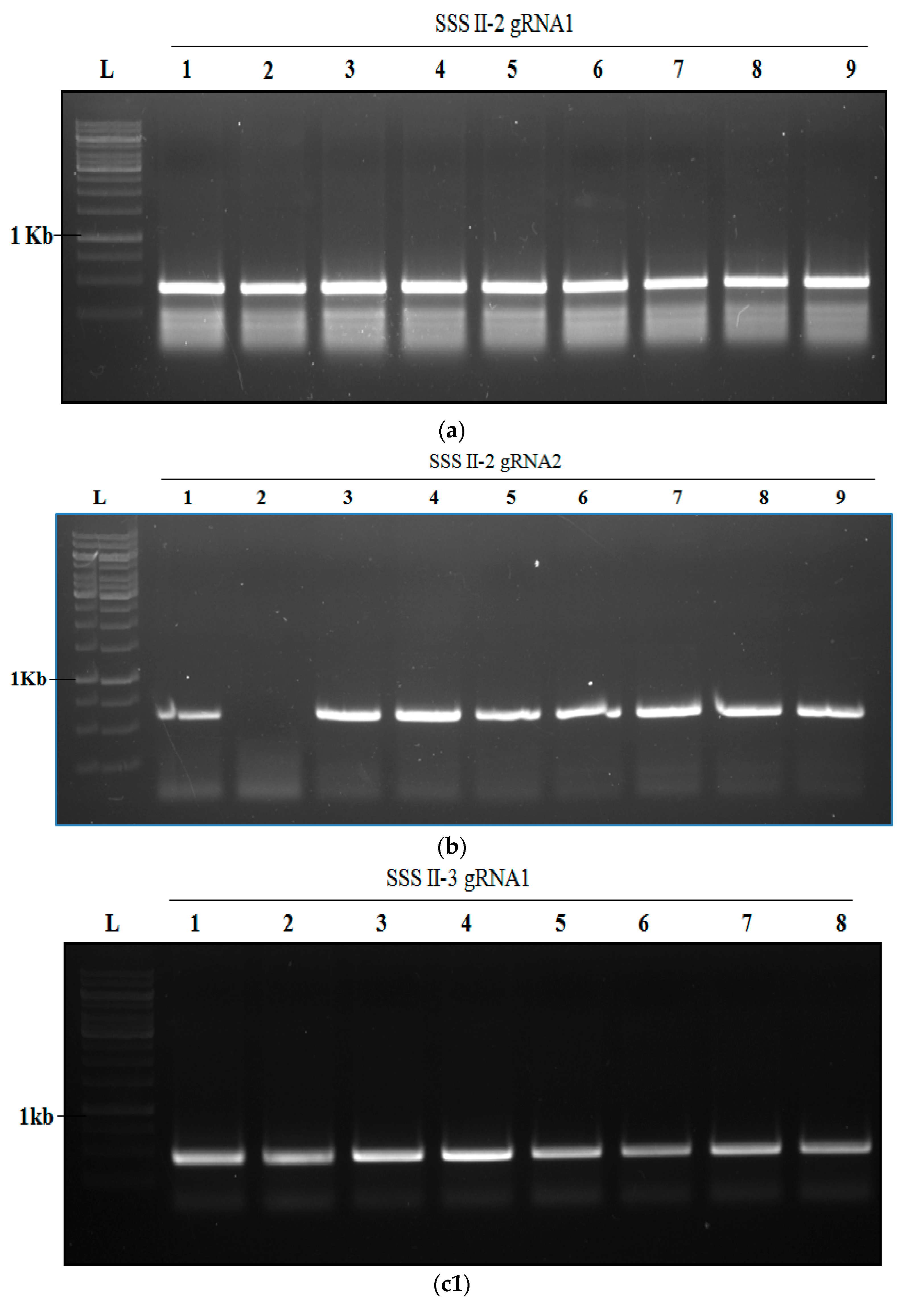 Agronomy 12 02206 g009a 550