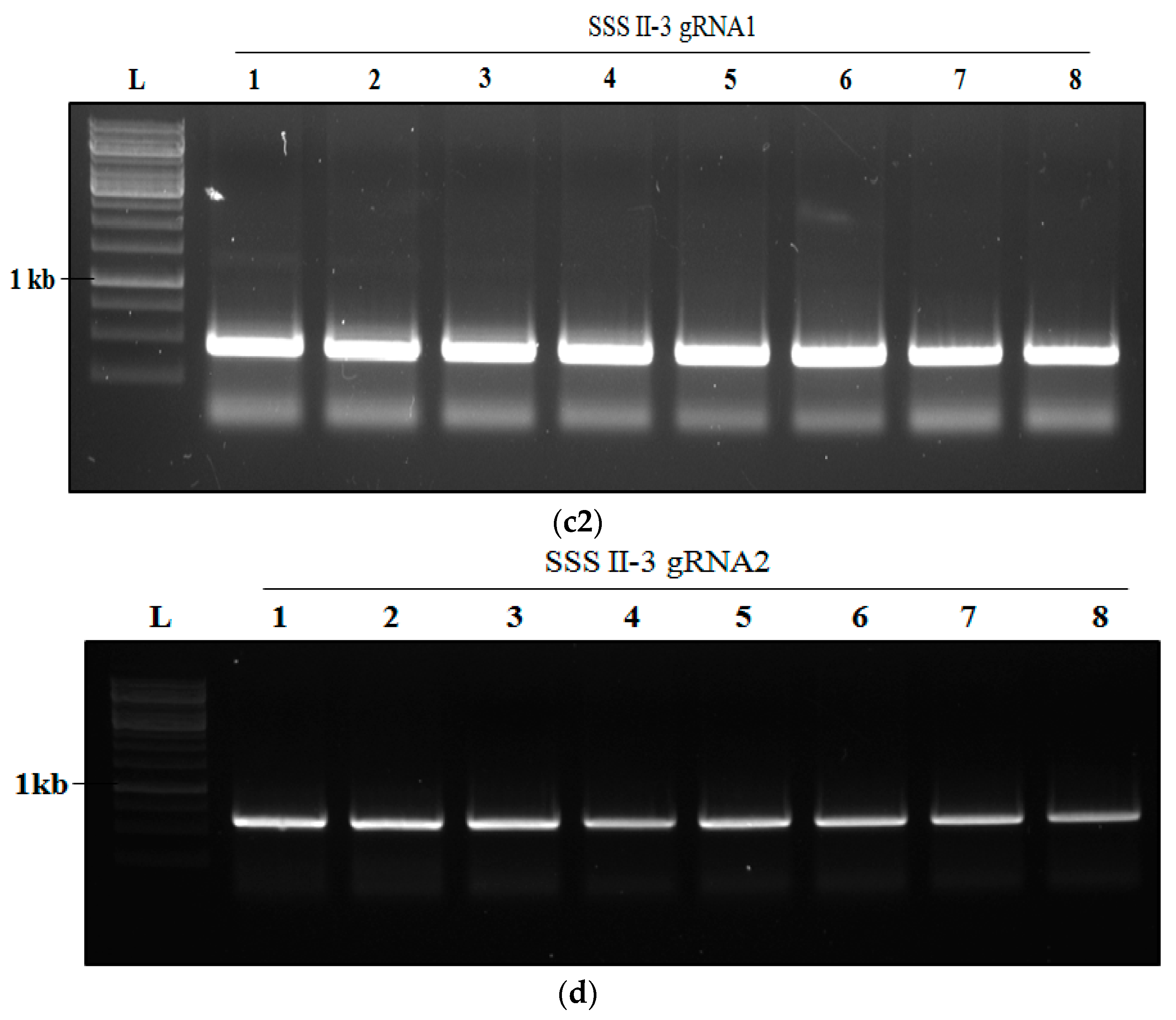 Agronomy 12 02206 g009b 550