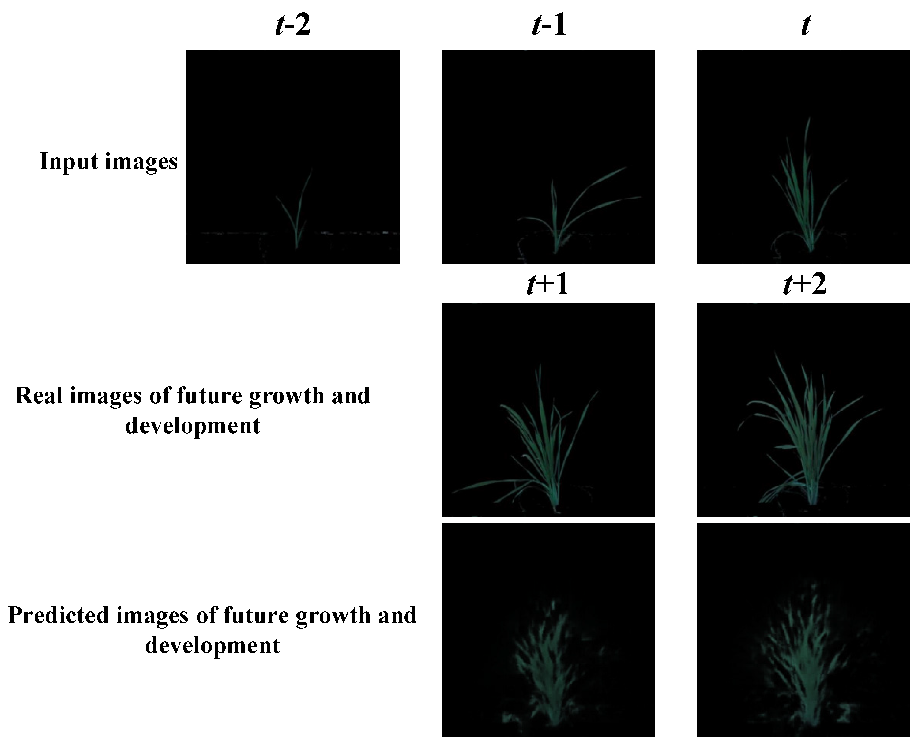 Agronomy 12 02213 g009 550