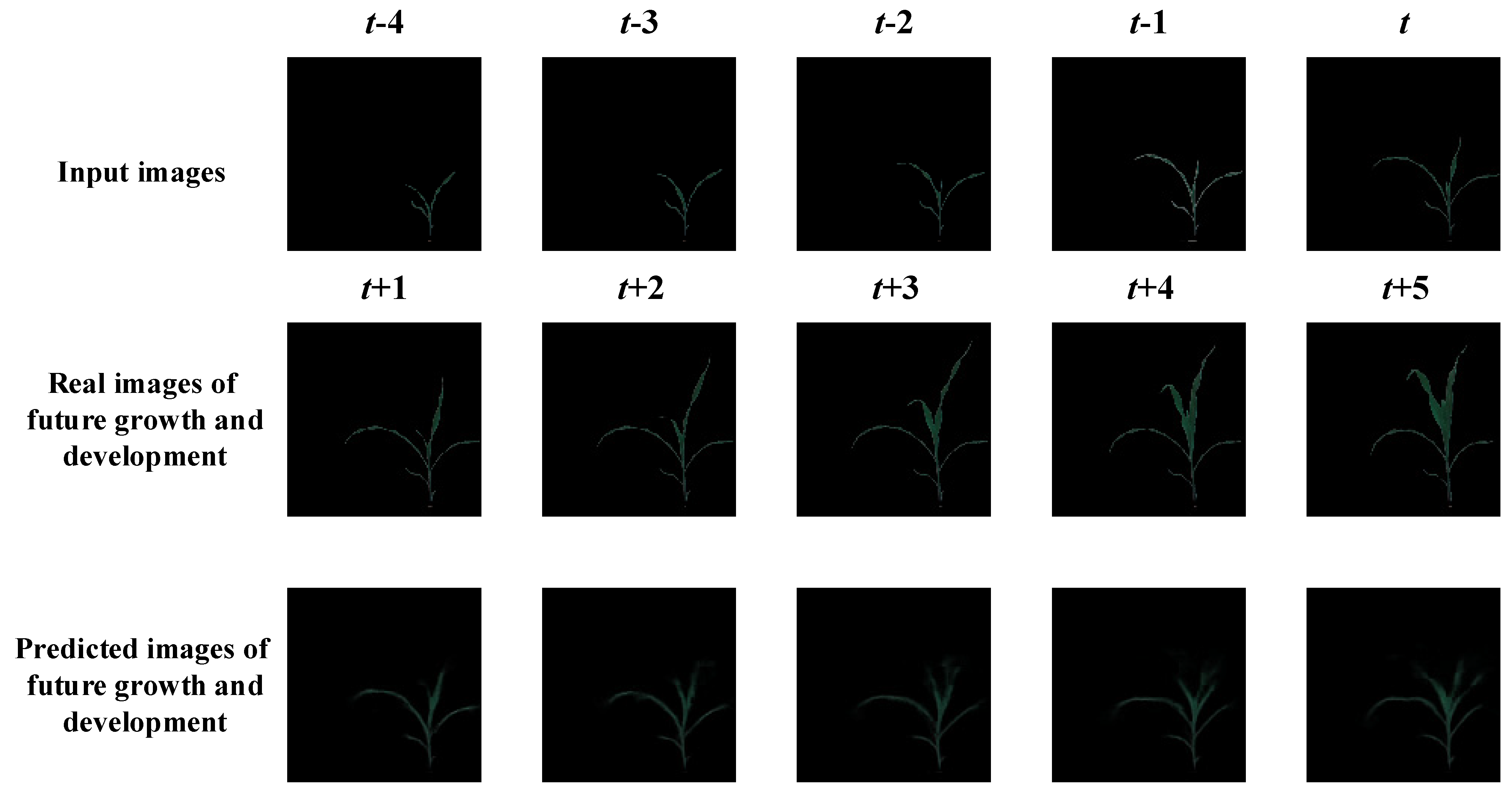 Agronomy 12 02213 g010 550
