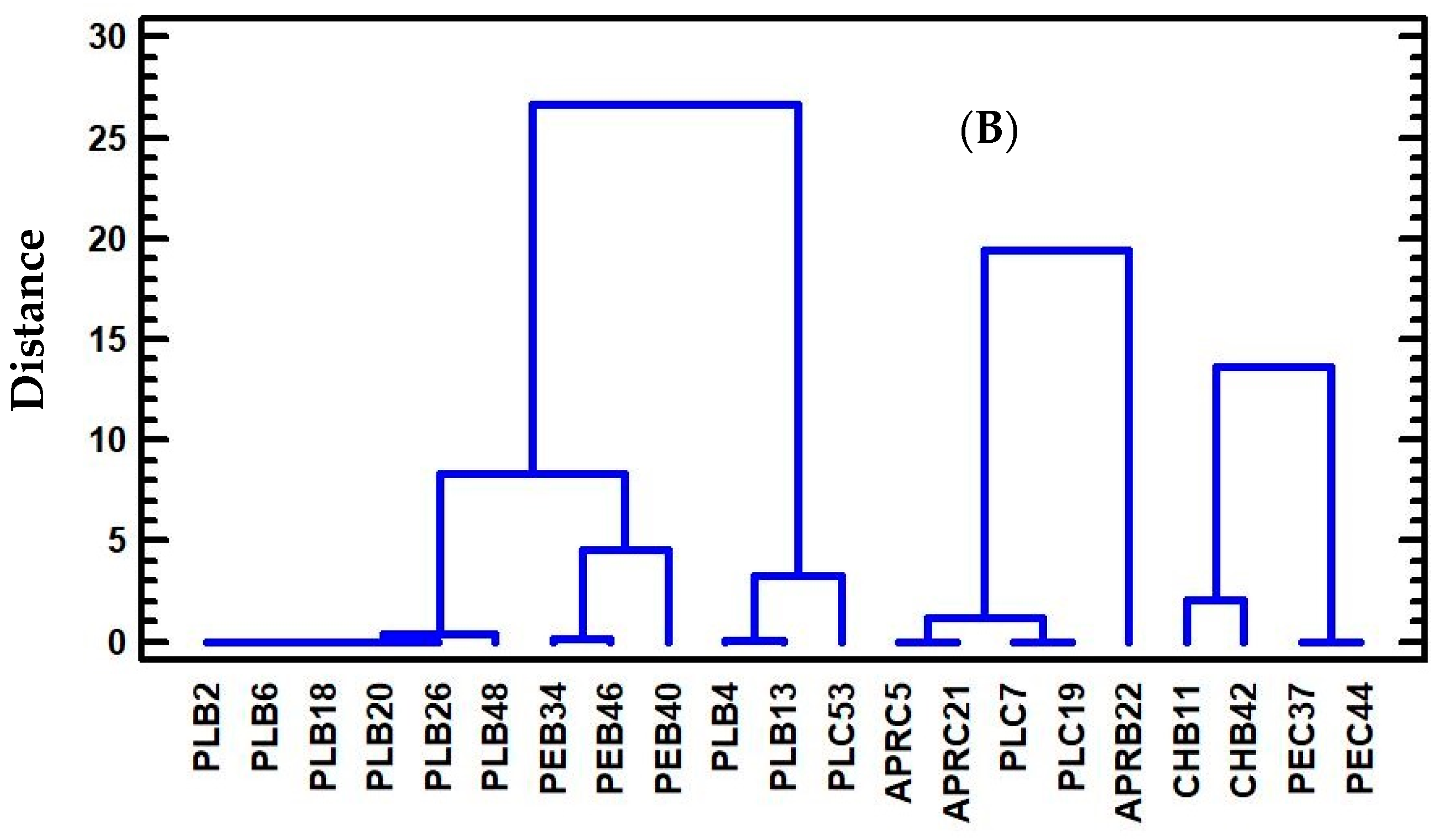 Agronomy 12 02224 g005b Agronomy 12 02224 g005b