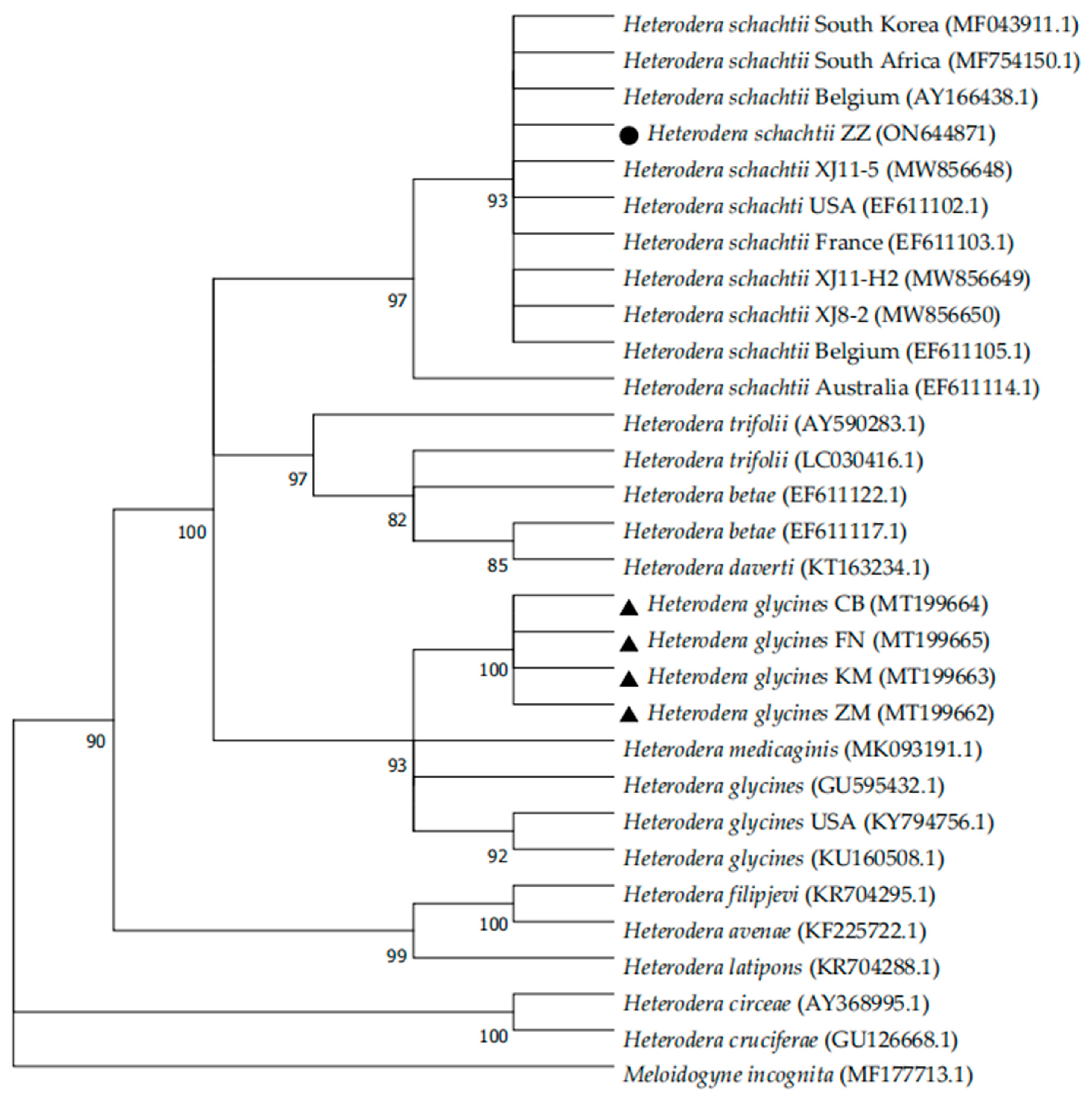 Agronomy 12 02227 g002