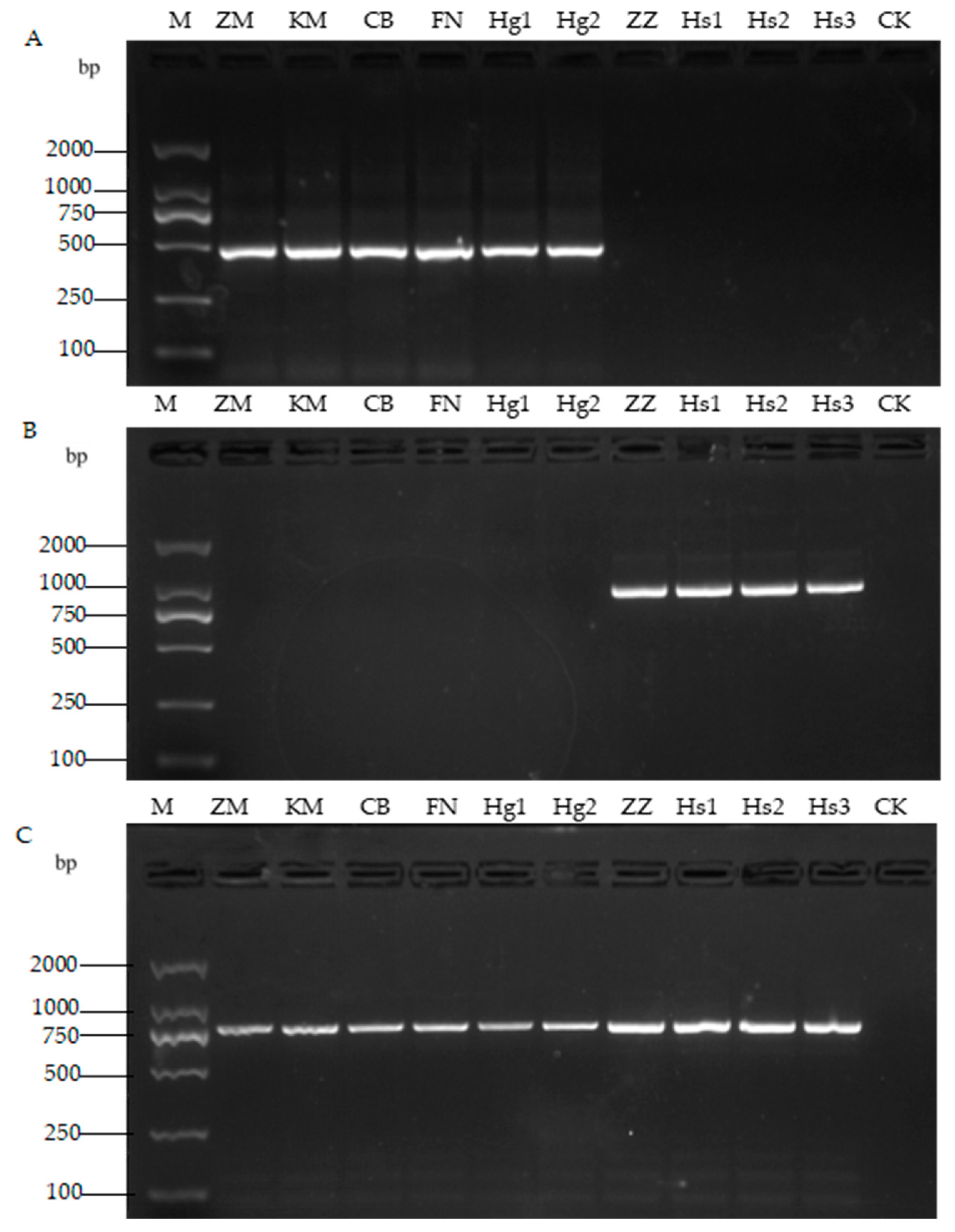 Agronomy 12 02227 g003