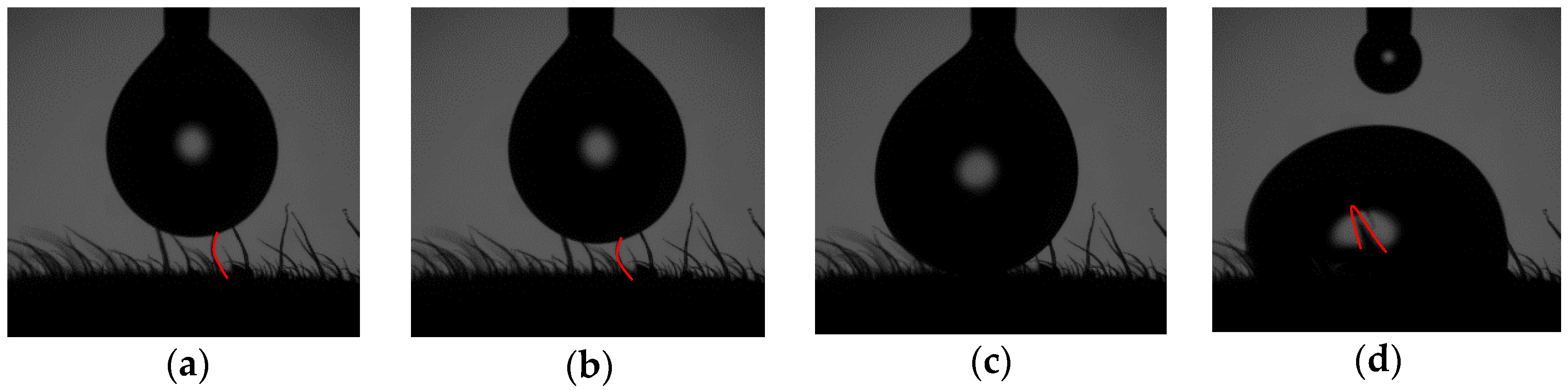 Agronomy 12 02228 g009