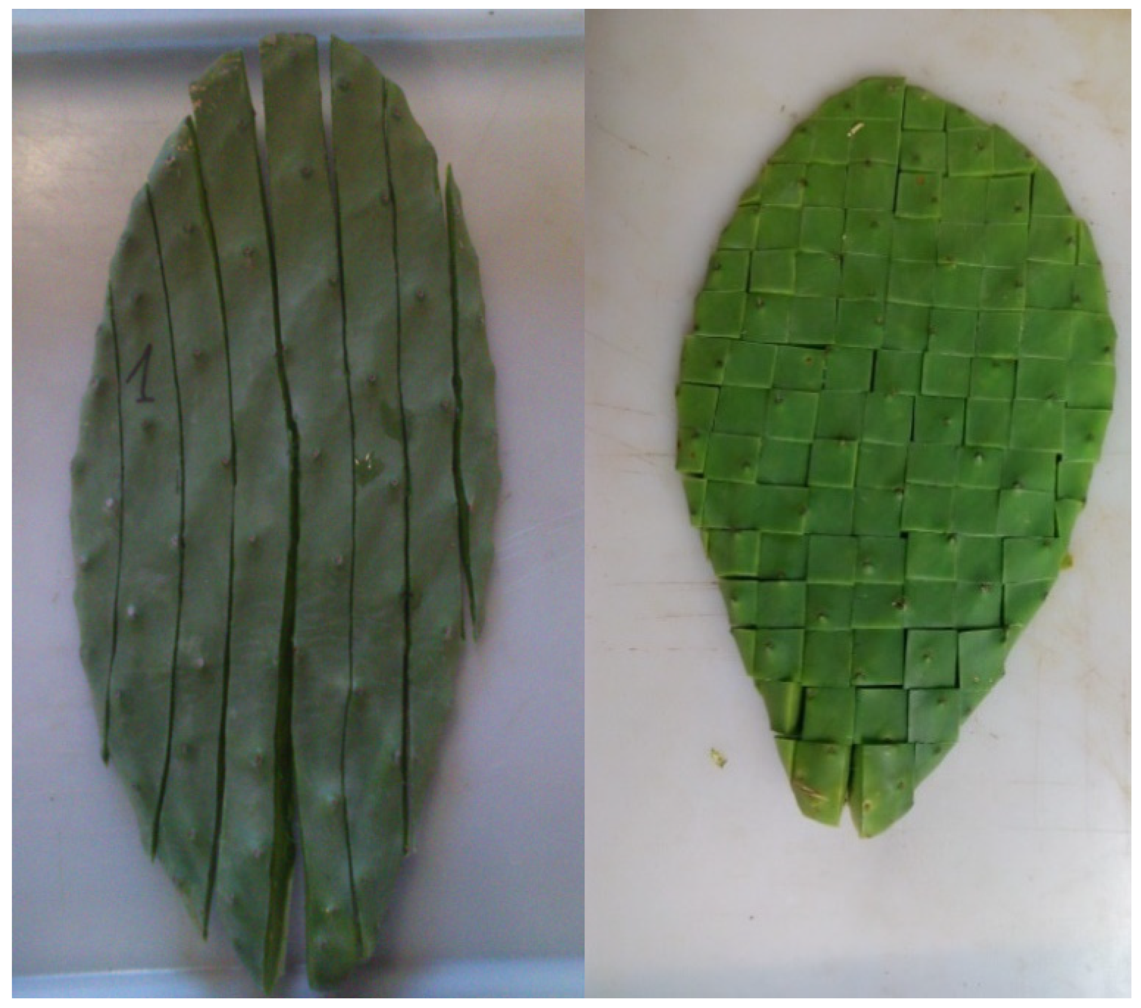 Agronomy 12 02231 g001