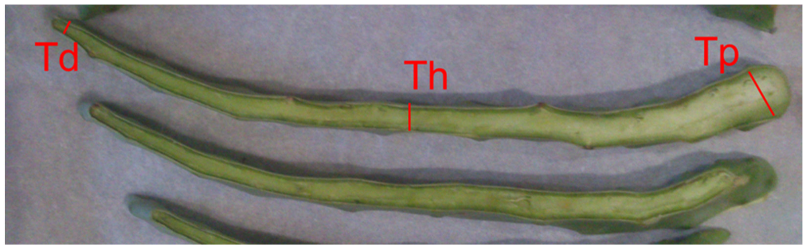 Agronomy 12 02231 g002