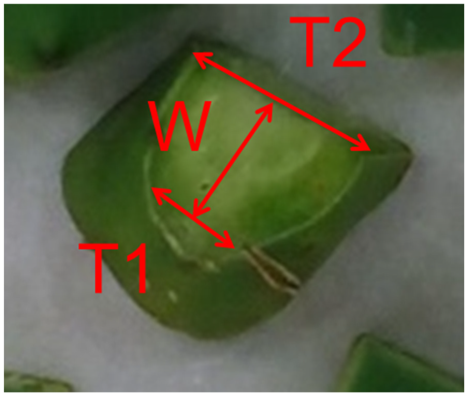 Agronomy 12 02231 g003