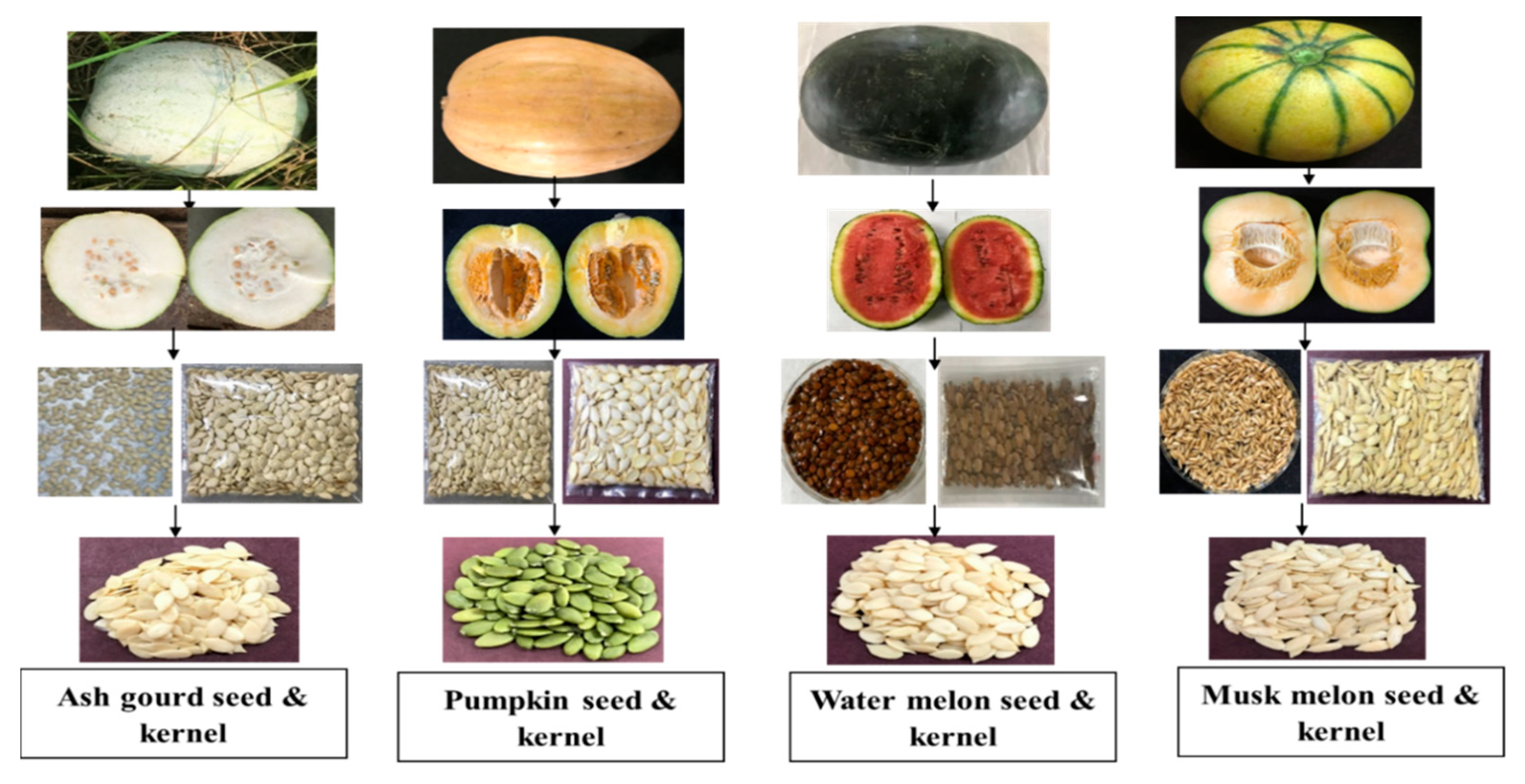 Agronomy 12 02242 g001 550