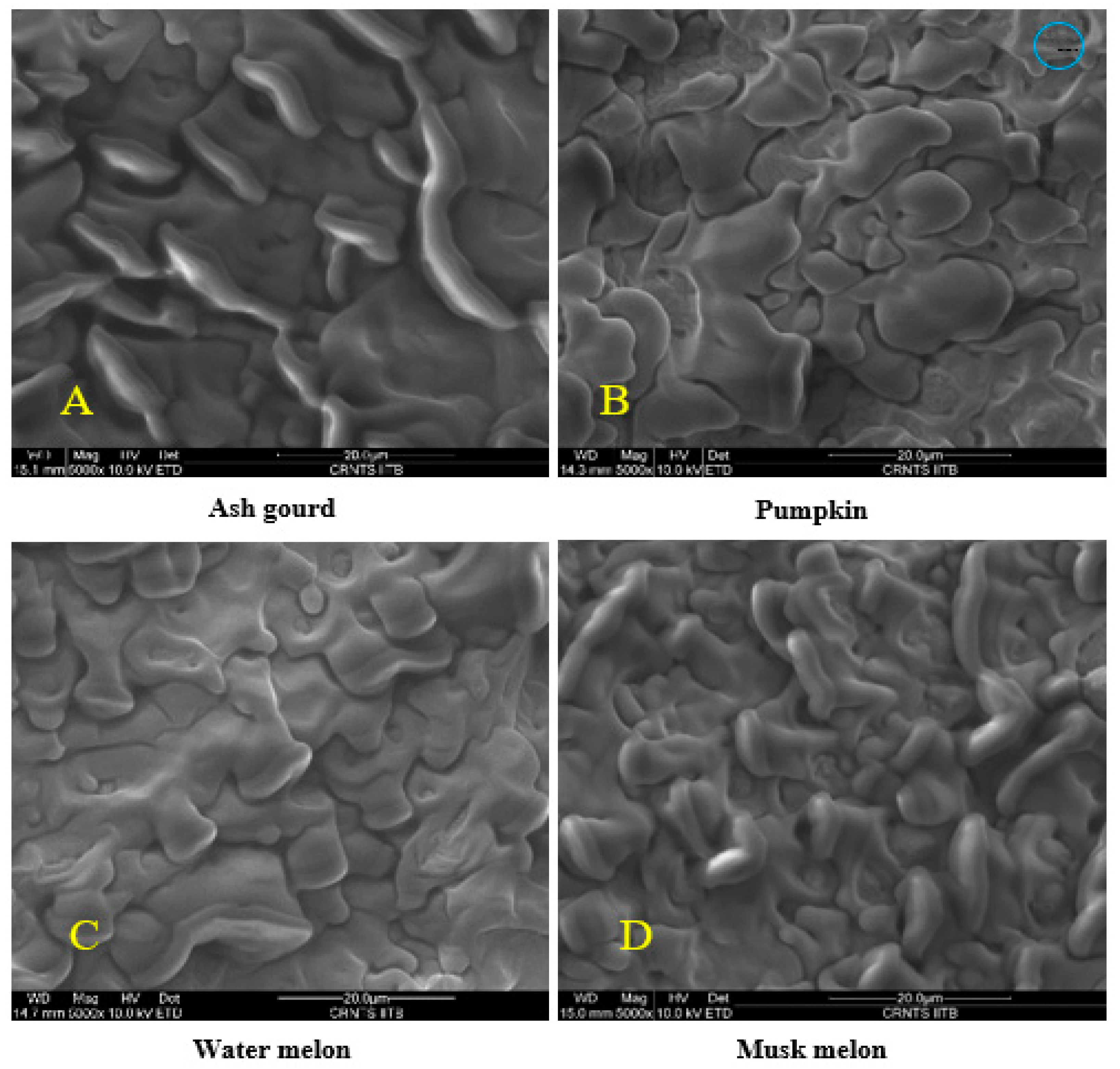 Agronomy 12 02242 g005 550