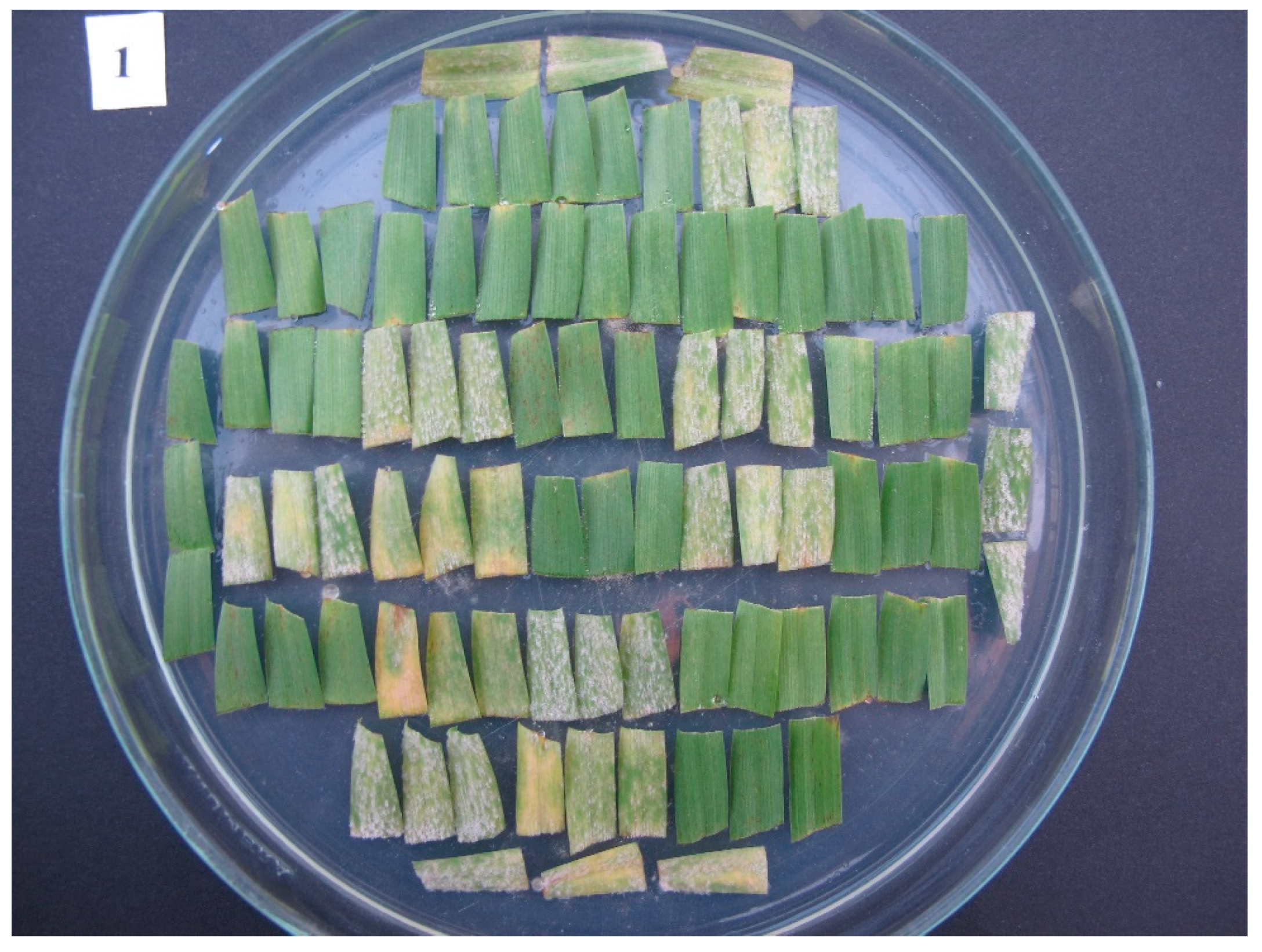 Agronomy 12 02245 g001