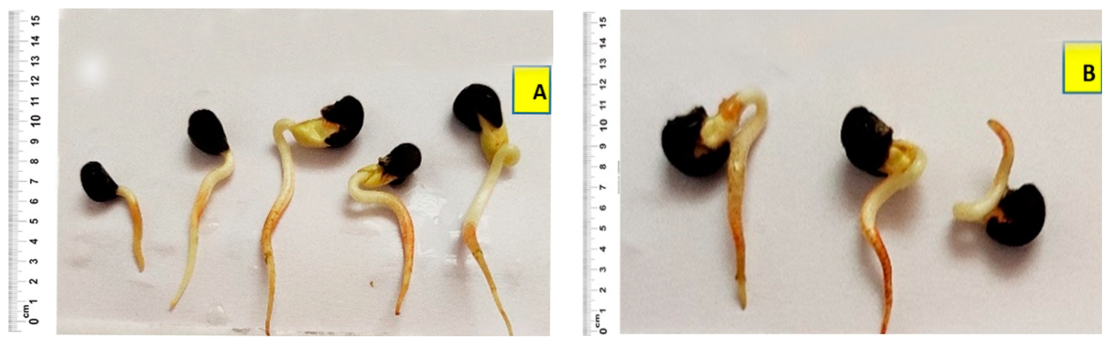 Agronomy 12 02247 g001 Agronomy 12 02247 g001