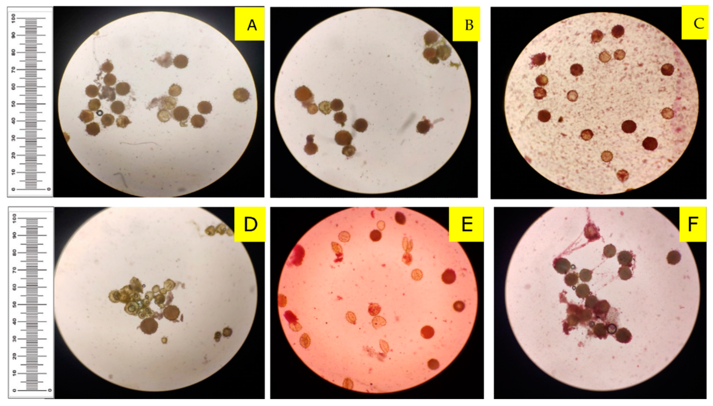 Agronomy 12 02247 g004 Agronomy 12 02247 g004