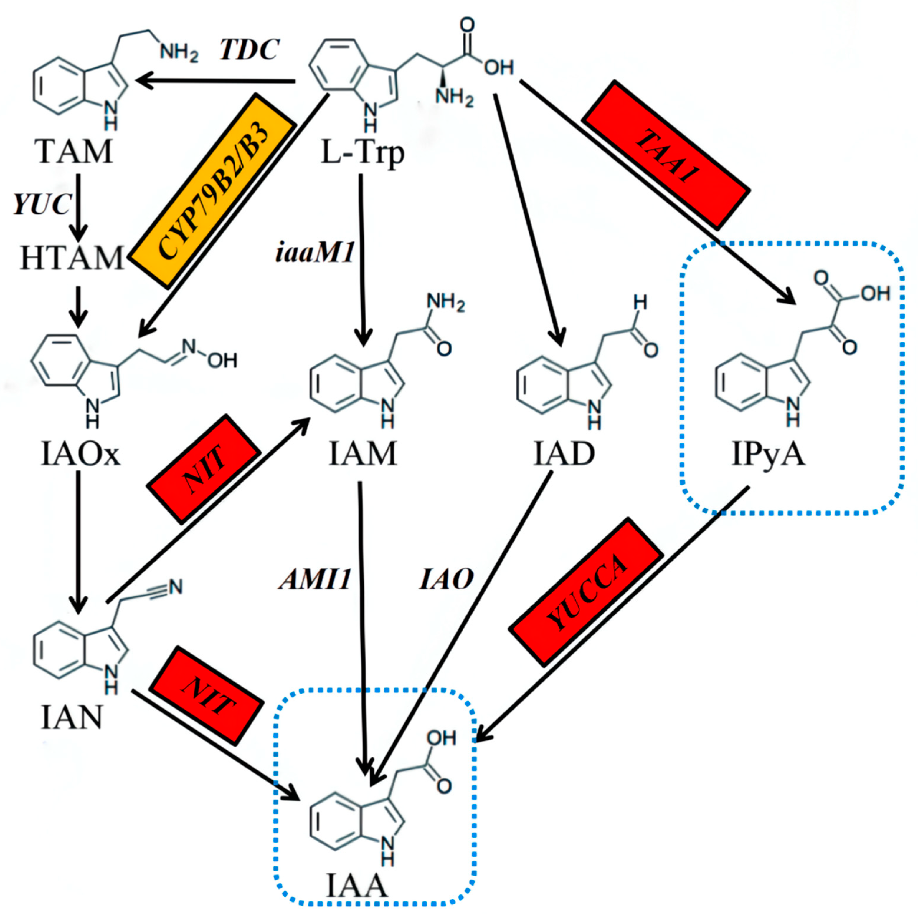 Agronomy 12 02254 g005