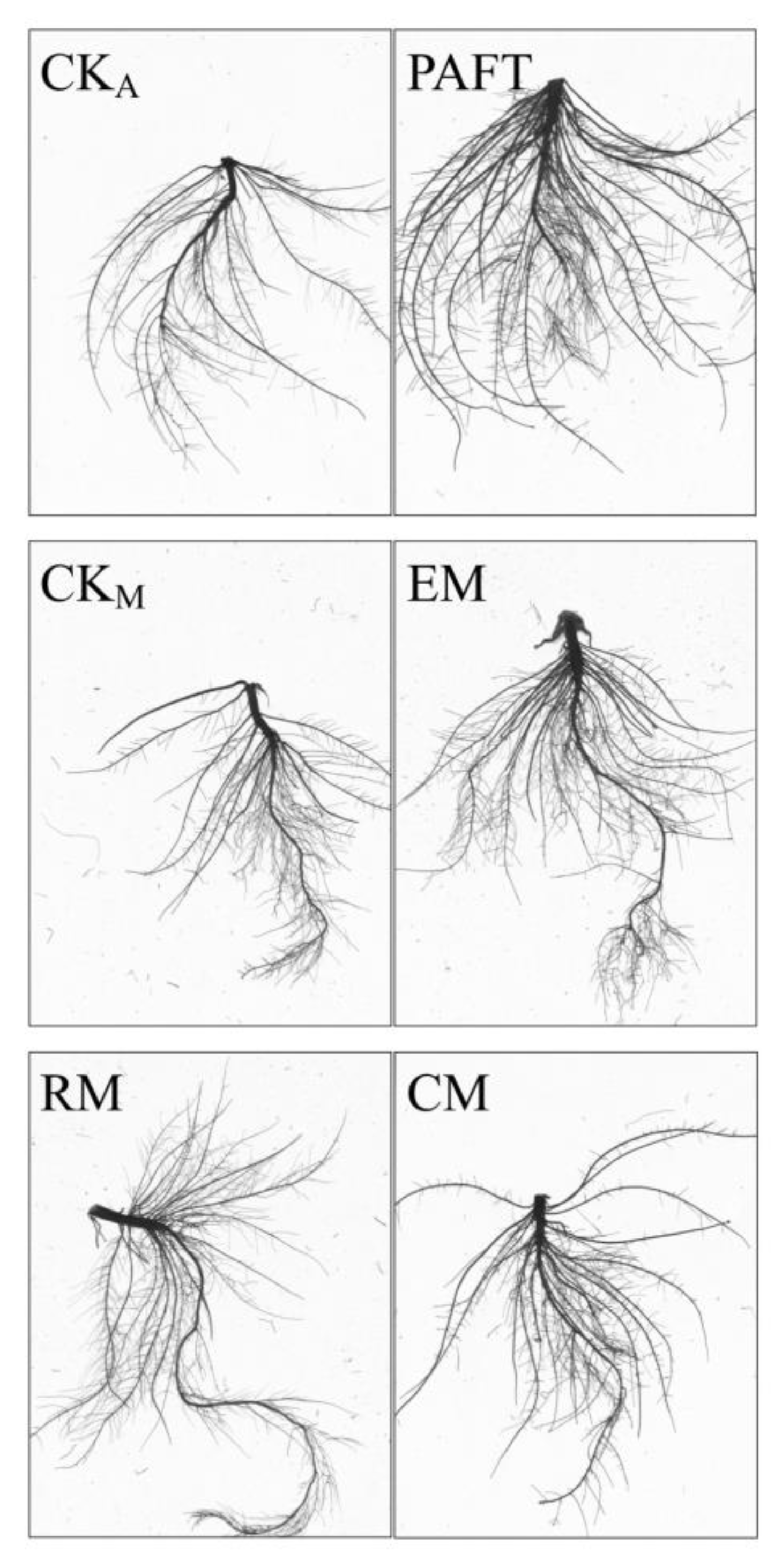 Agronomy 12 02257 g007
