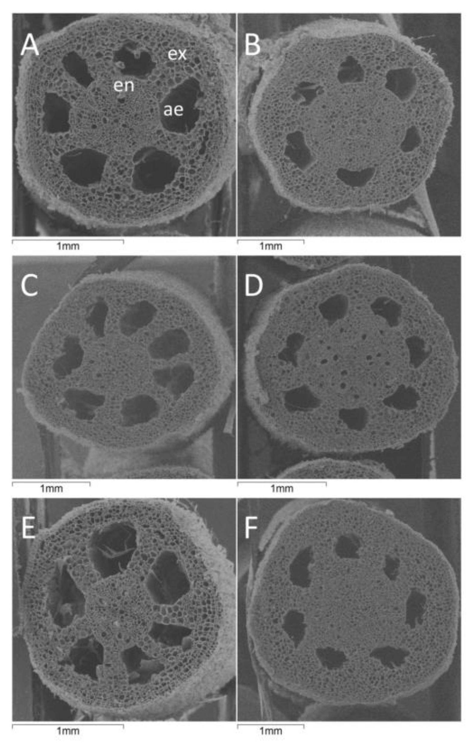 Agronomy 12 02257 g008