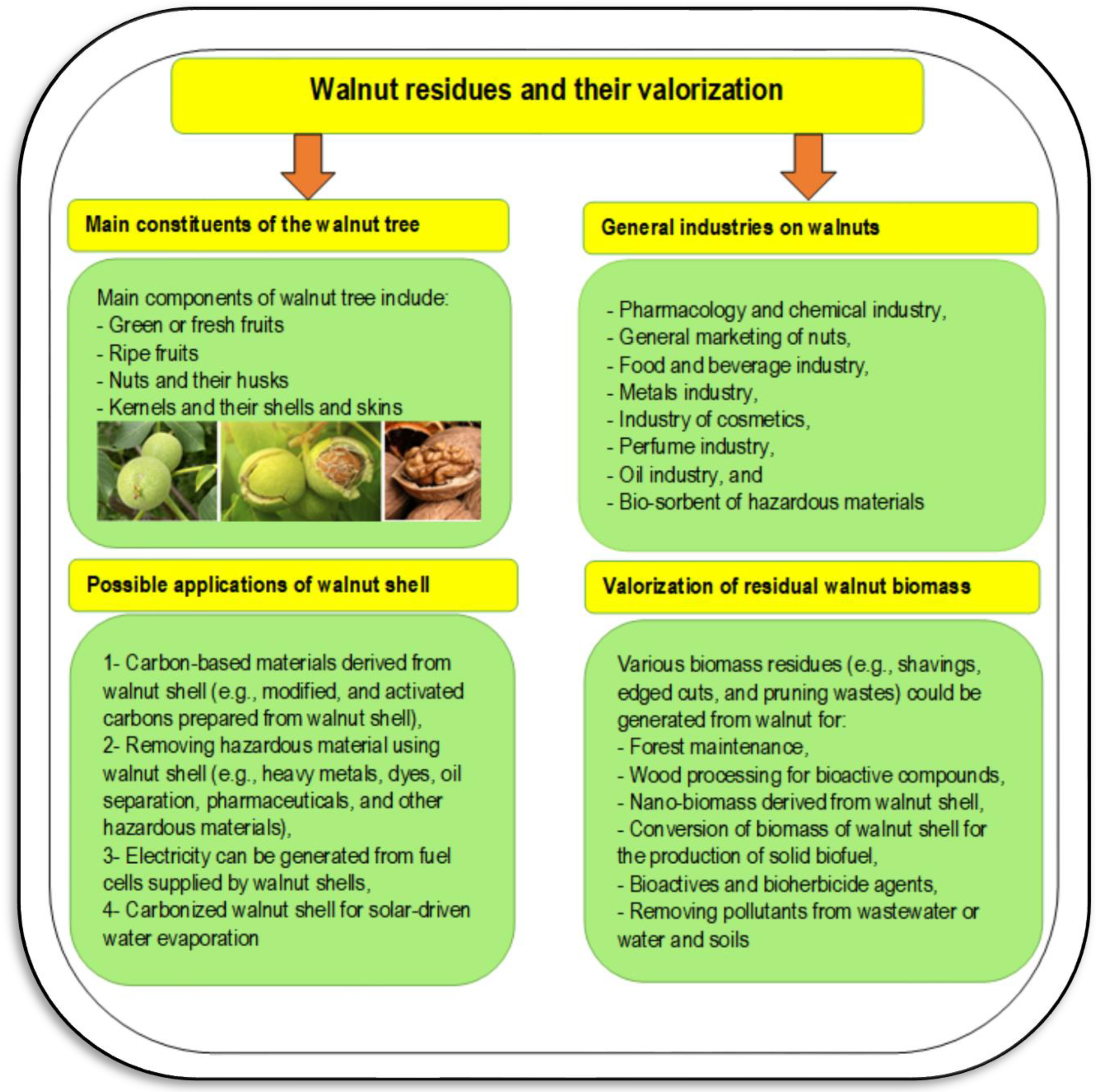 Agronomy 12 02258 g006