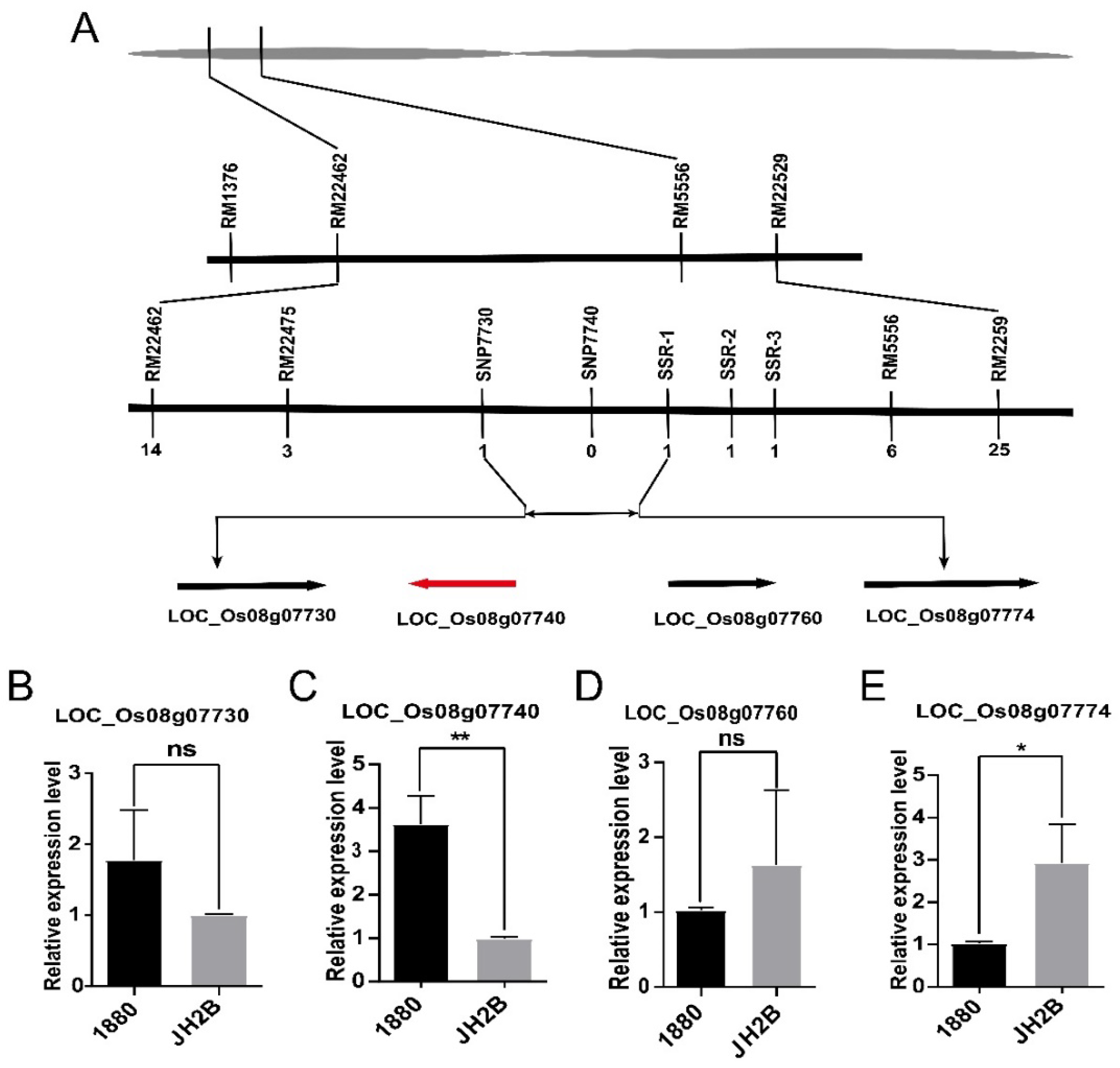 Agronomy 12 02260 g002 Agronomy 12 02260 g002