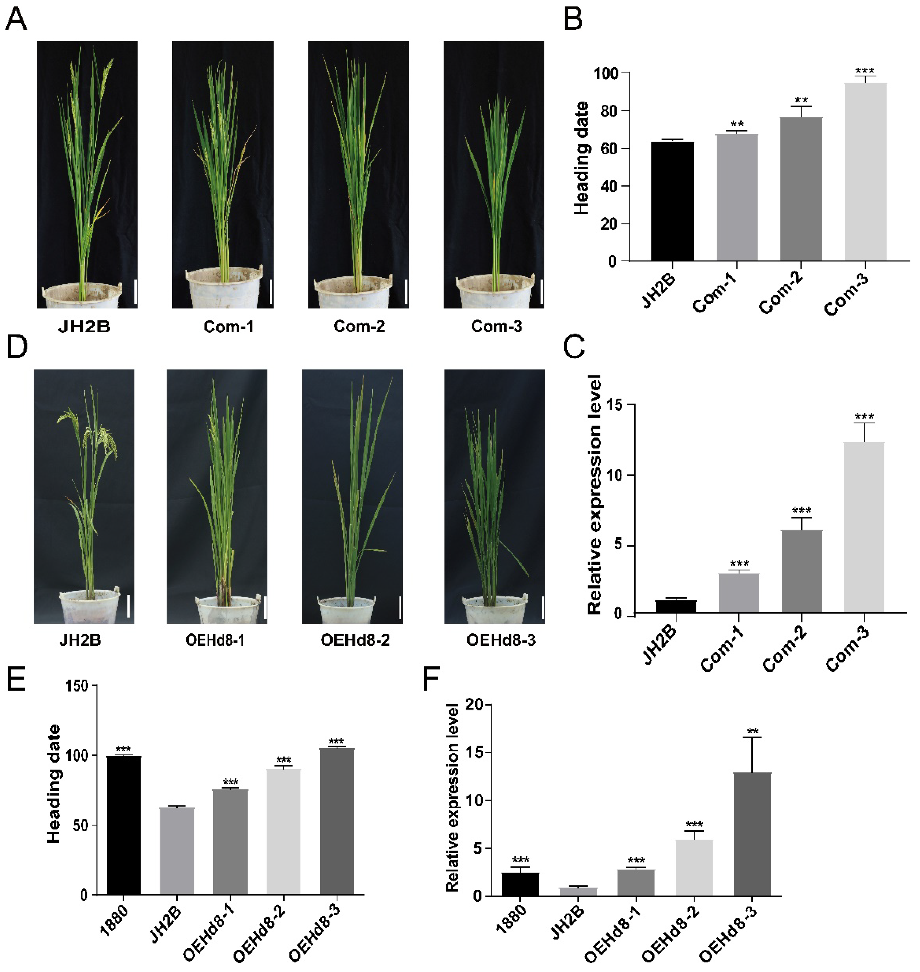 Agronomy 12 02260 g003 Agronomy 12 02260 g003