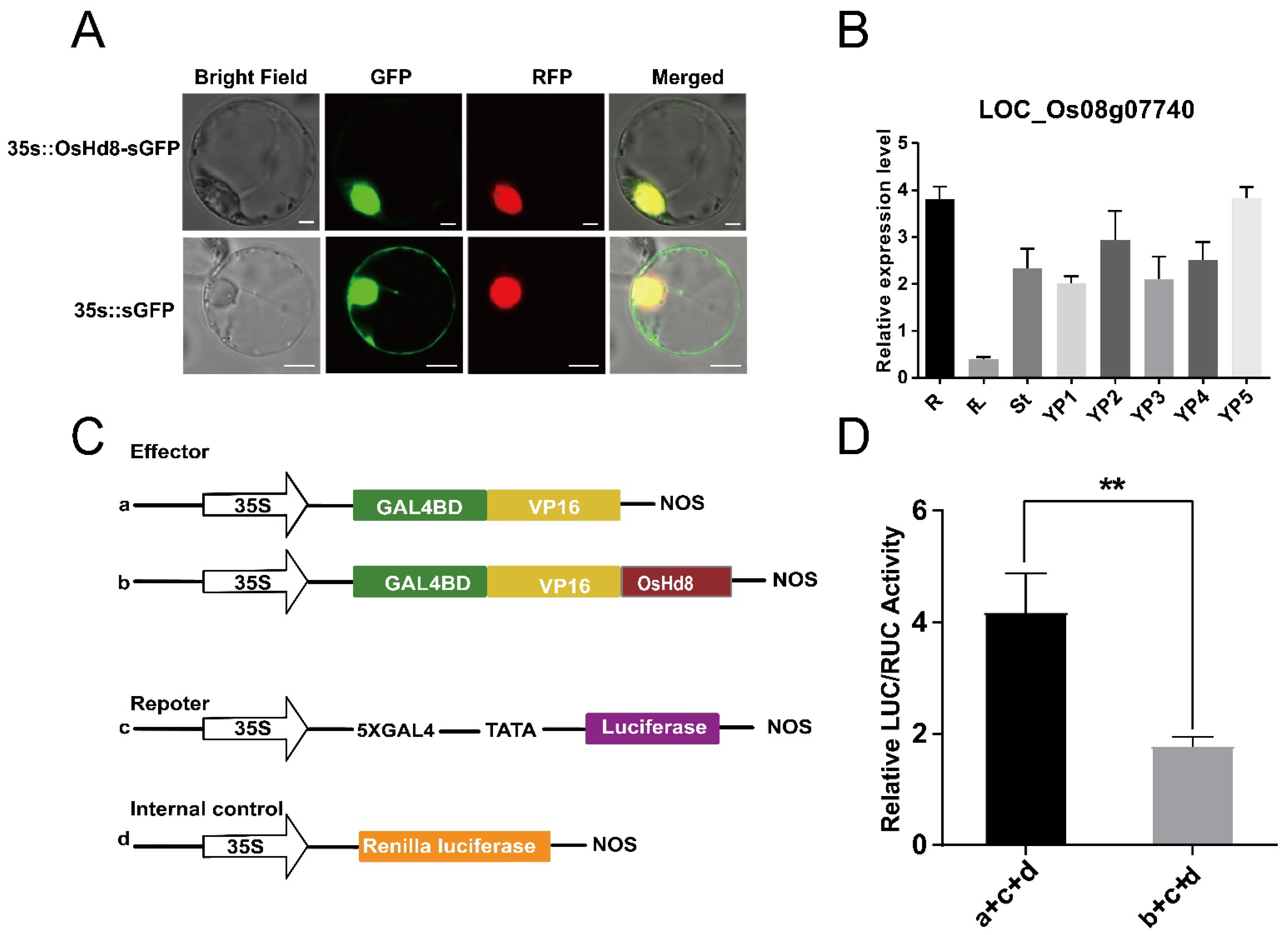Agronomy 12 02260 g004 Agronomy 12 02260 g004