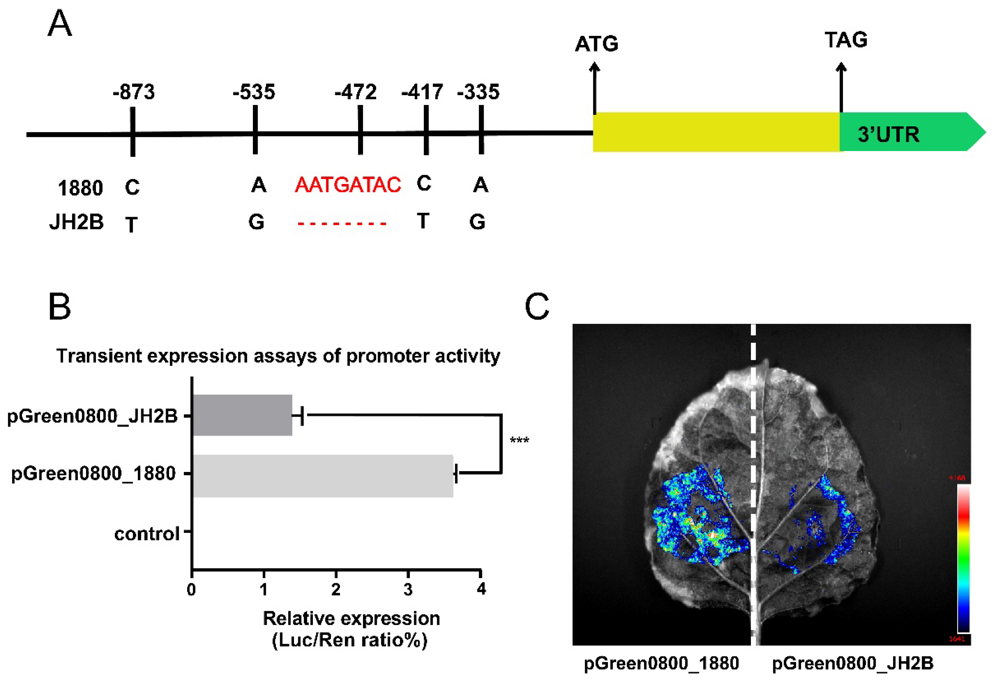 Agronomy 12 02260 g005 Agronomy 12 02260 g005