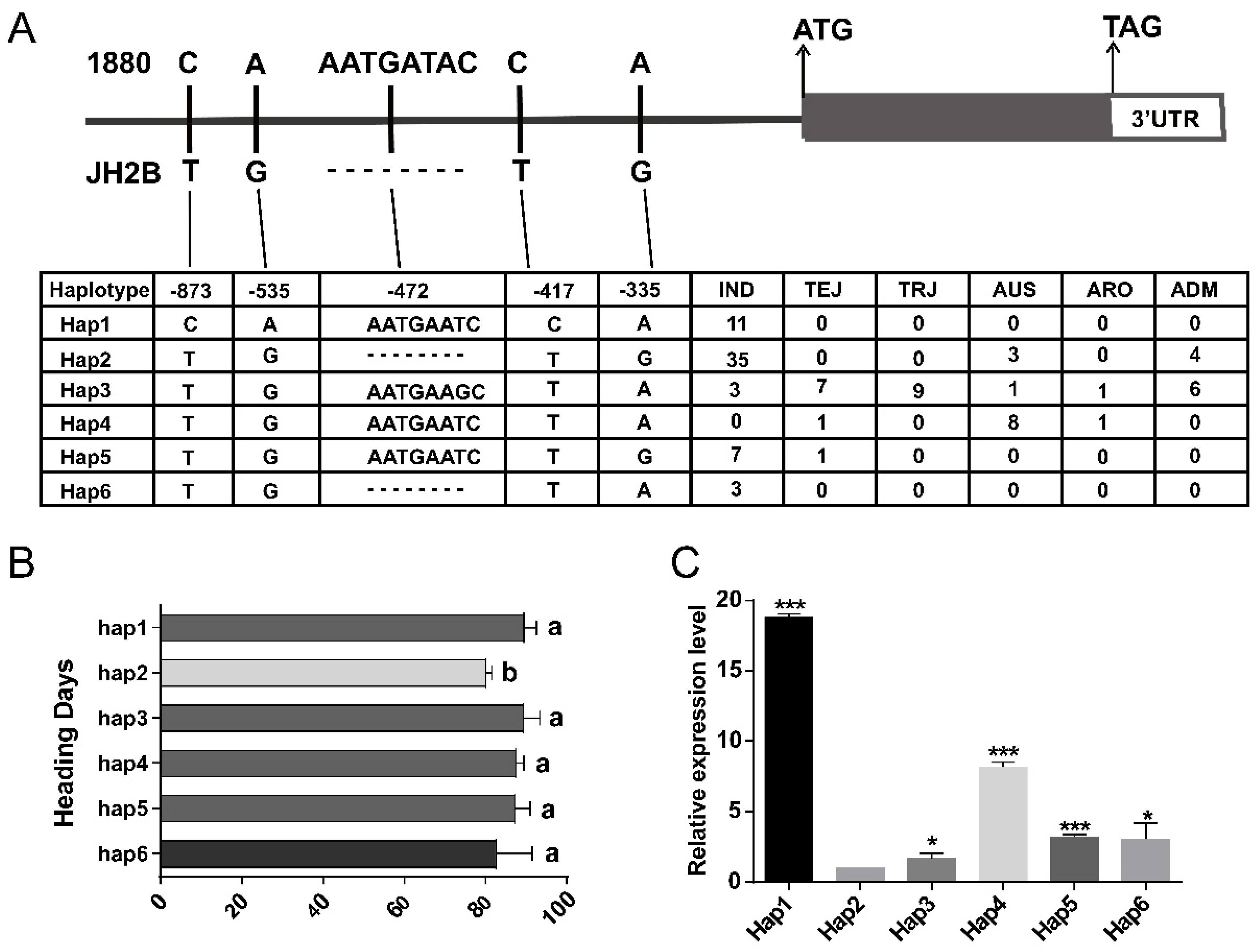 Agronomy 12 02260 g007 Agronomy 12 02260 g007