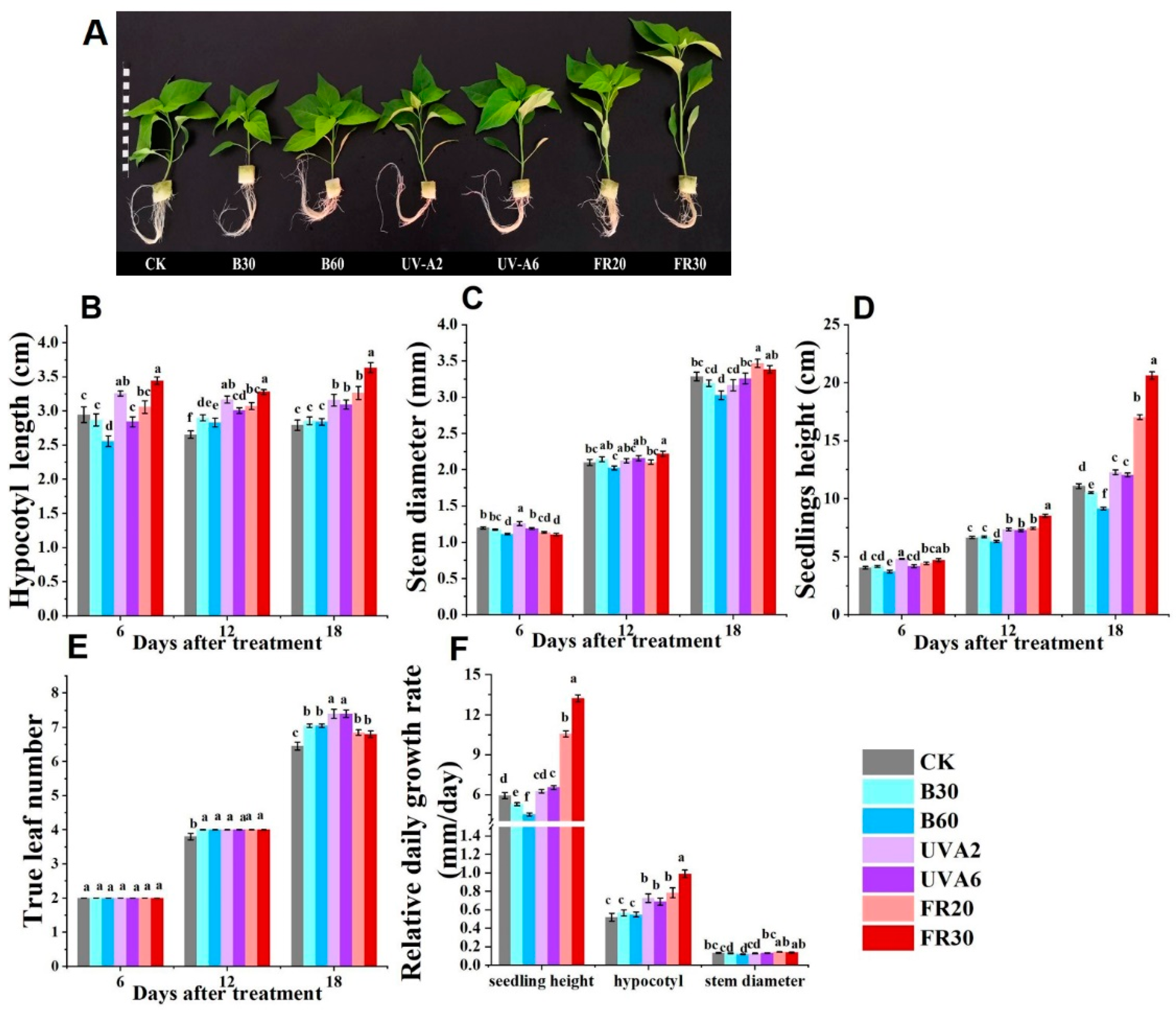 Agronomy 12 02269 g002 Agronomy 12 02269 g002