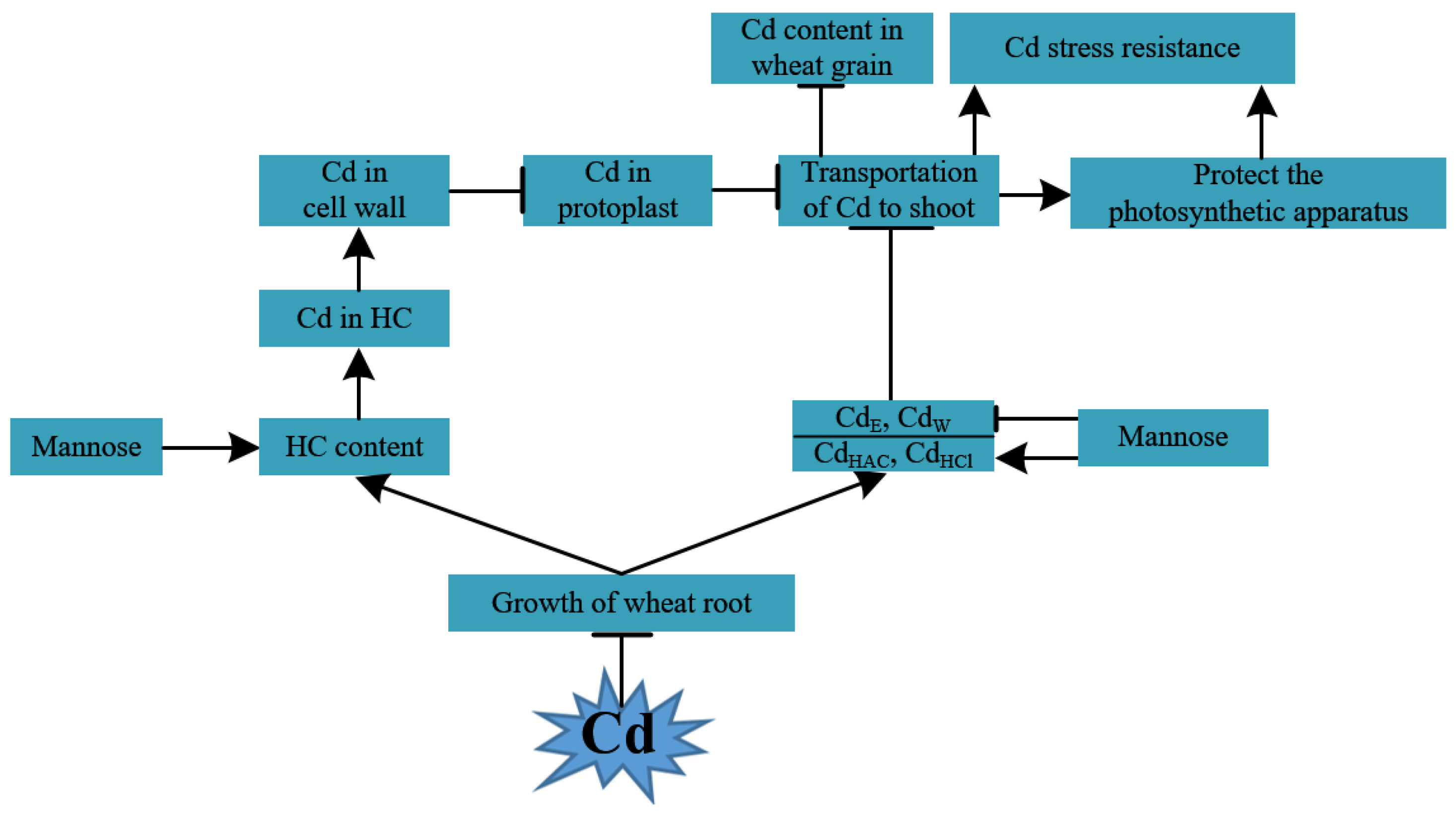 Agronomy 12 02273 g006 550