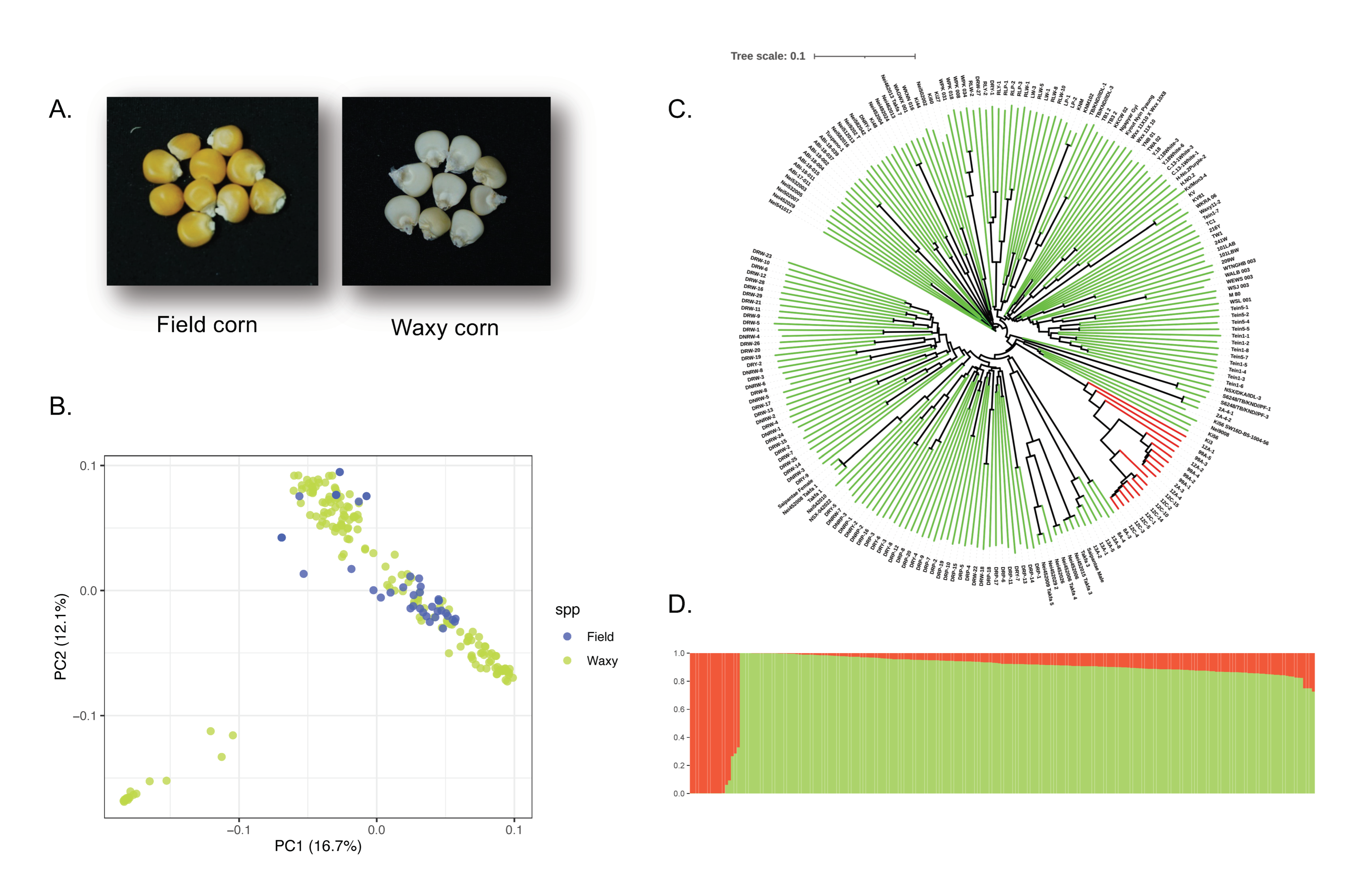 Agronomy 12 02289 g001