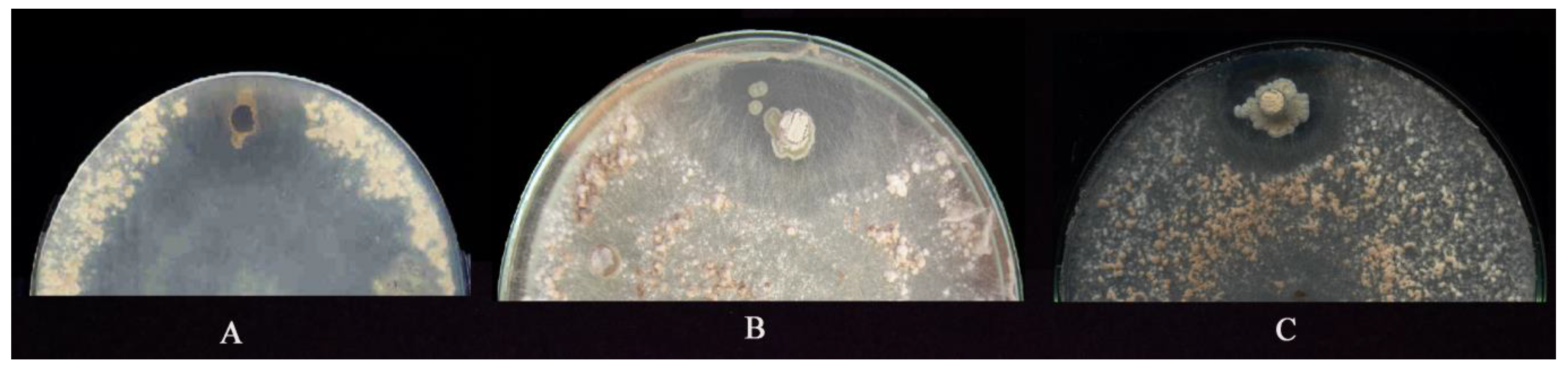 Agronomy 12 02292 g001 Agronomy 12 02292 g001