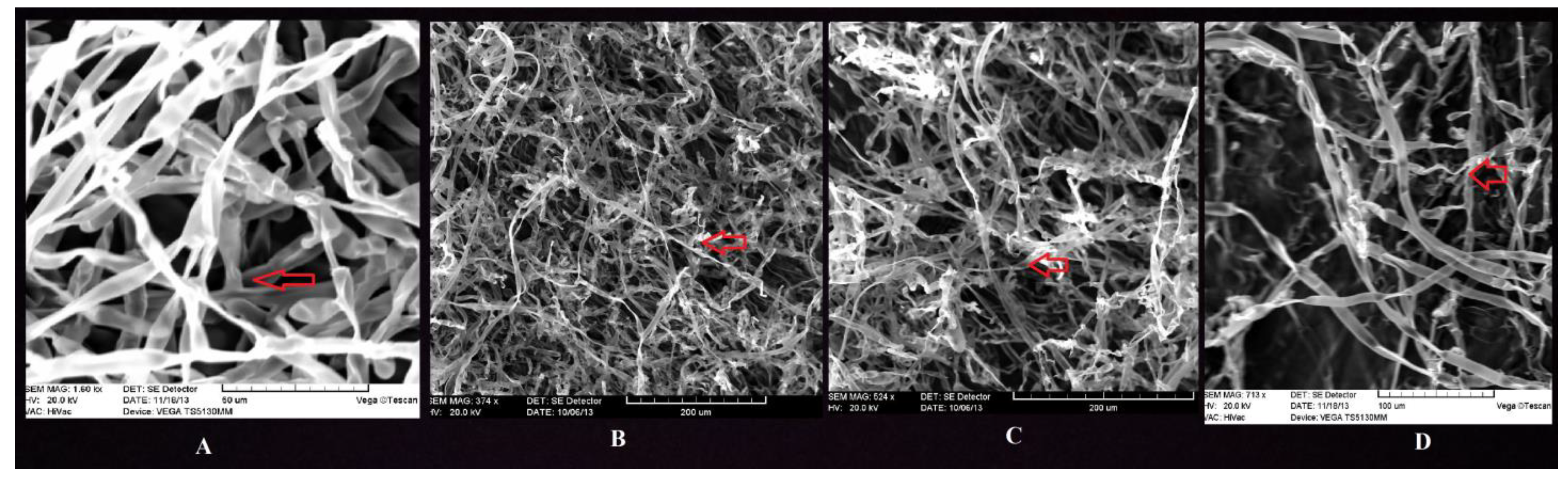 Agronomy 12 02292 g002 Agronomy 12 02292 g002