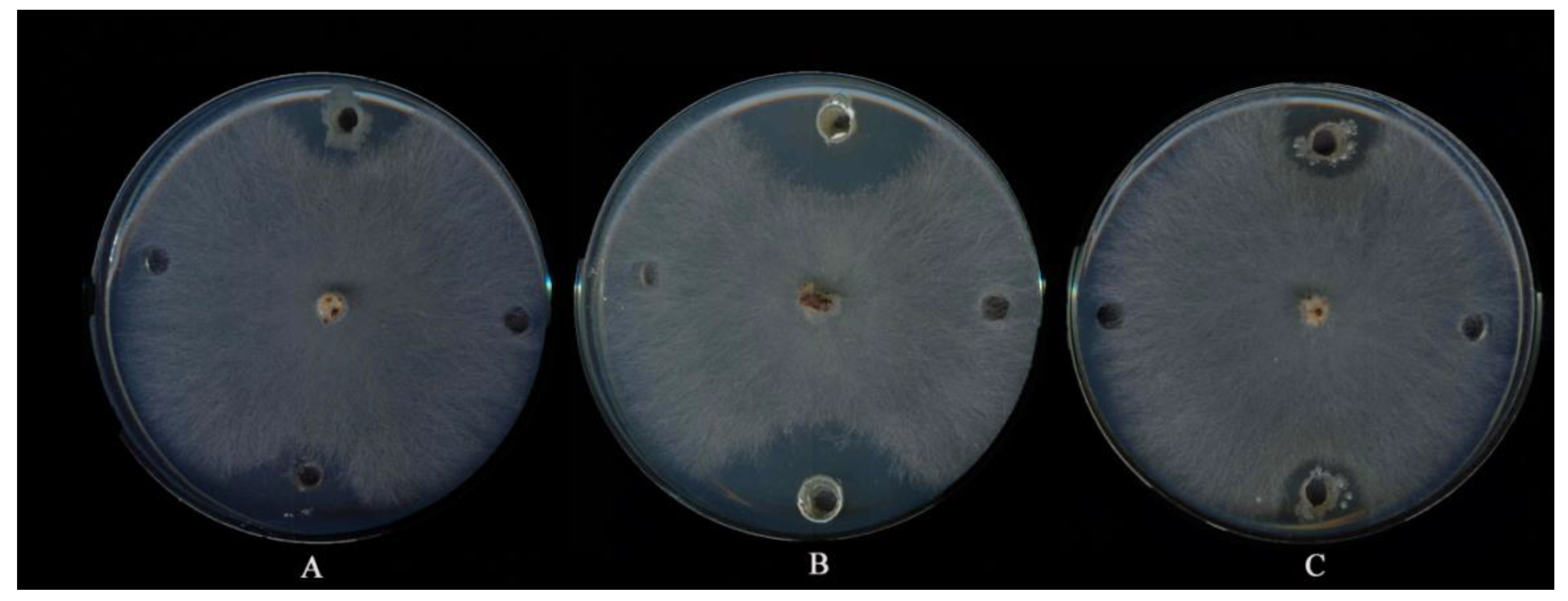 Agronomy 12 02292 g004 Agronomy 12 02292 g004